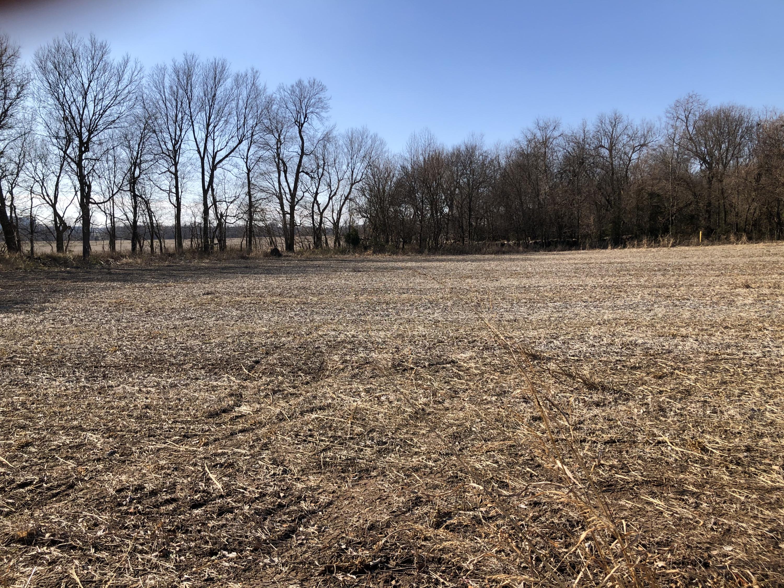 main property photo 12