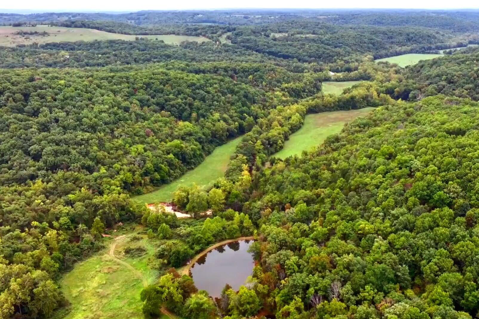 main property photo 6