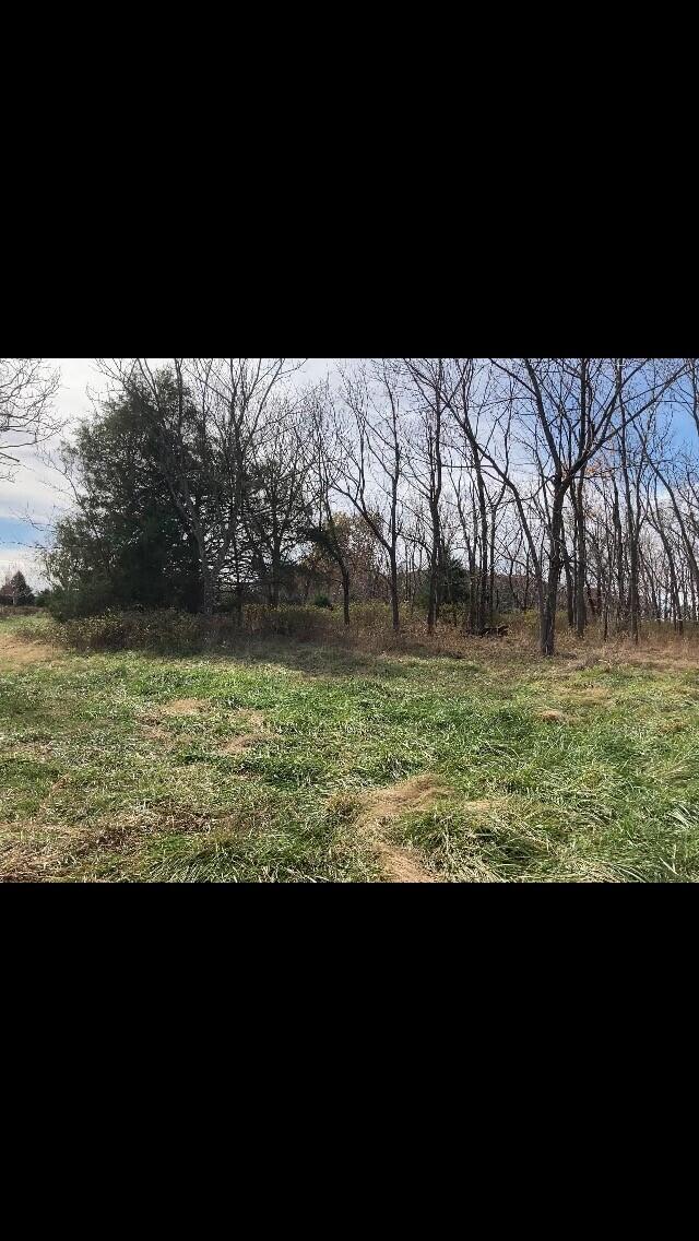 main property photo 13