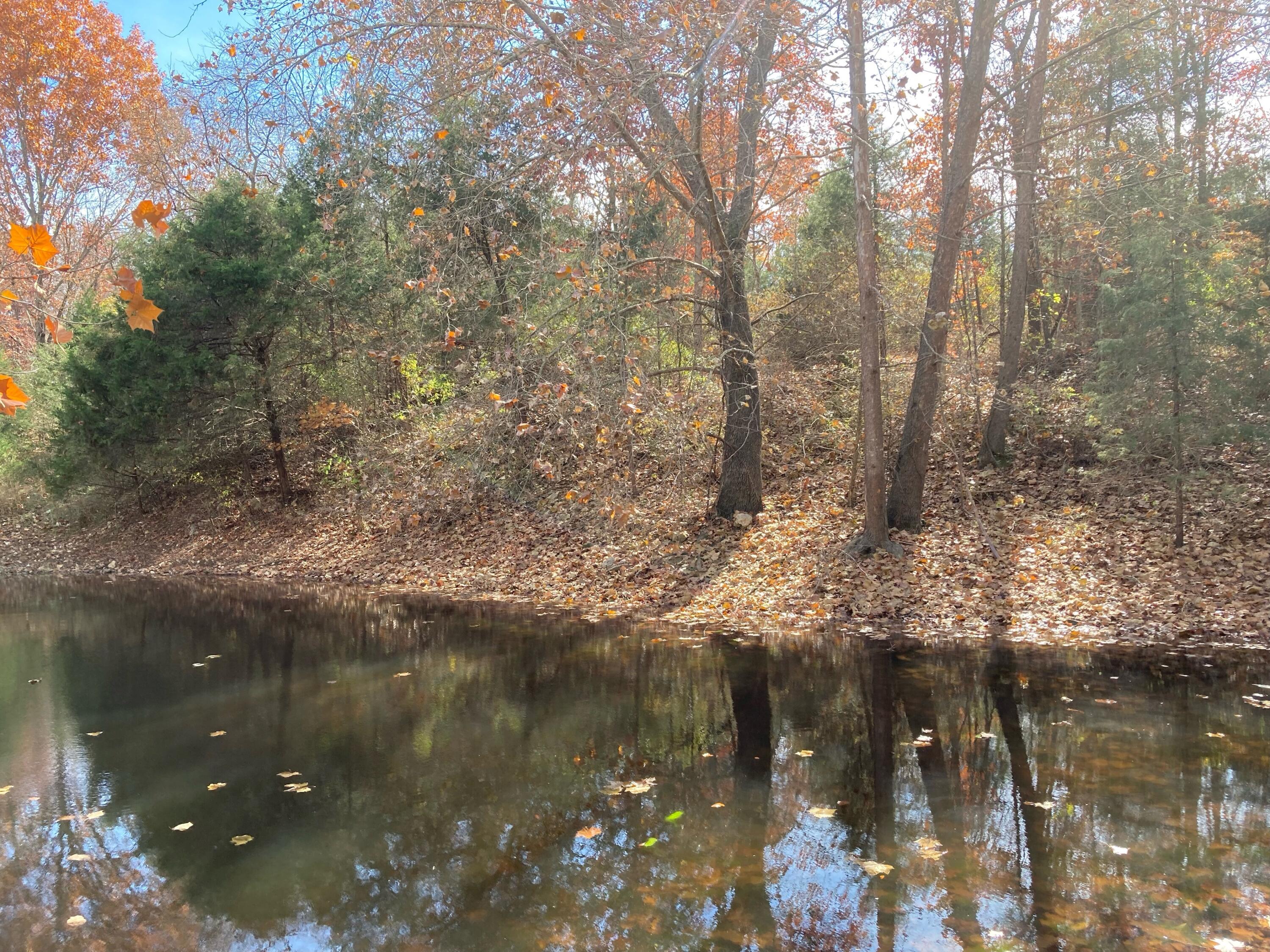 main property photo 14