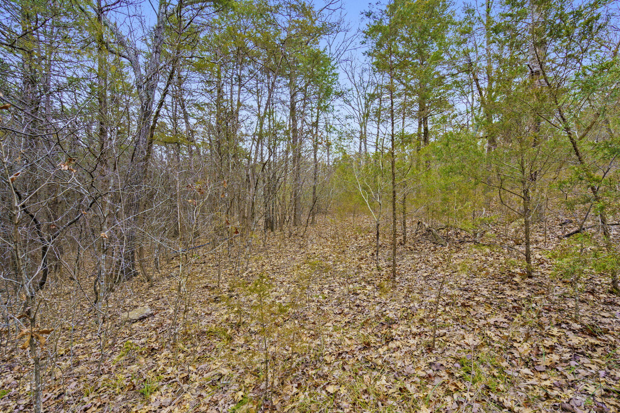 main property photo 11