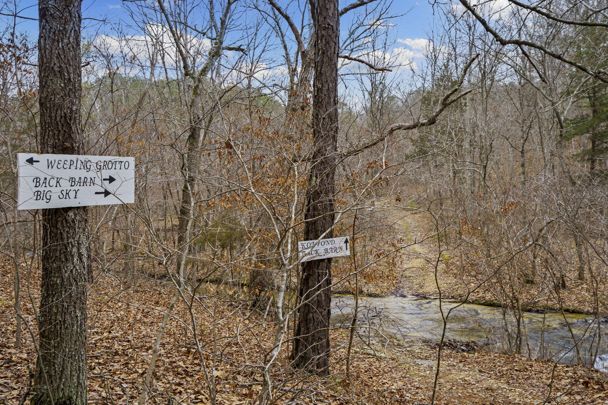 main property photo 40