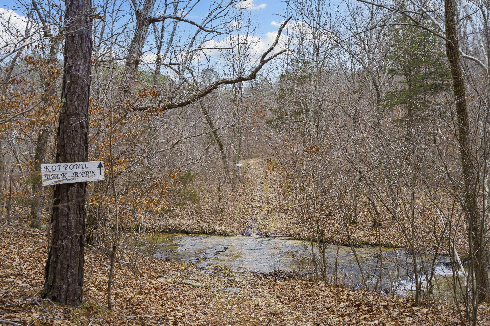 main property photo 64
