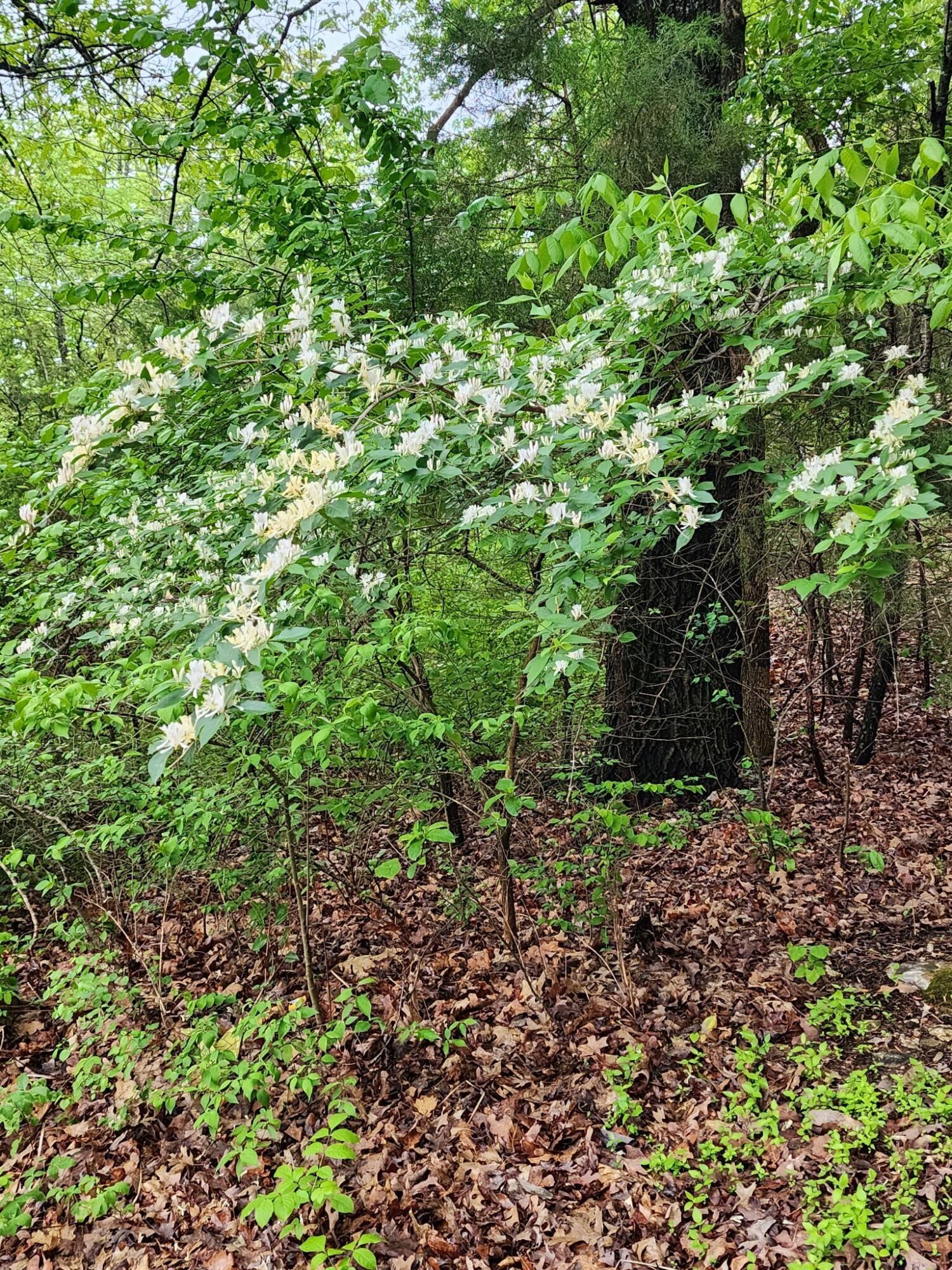 main property photo 71