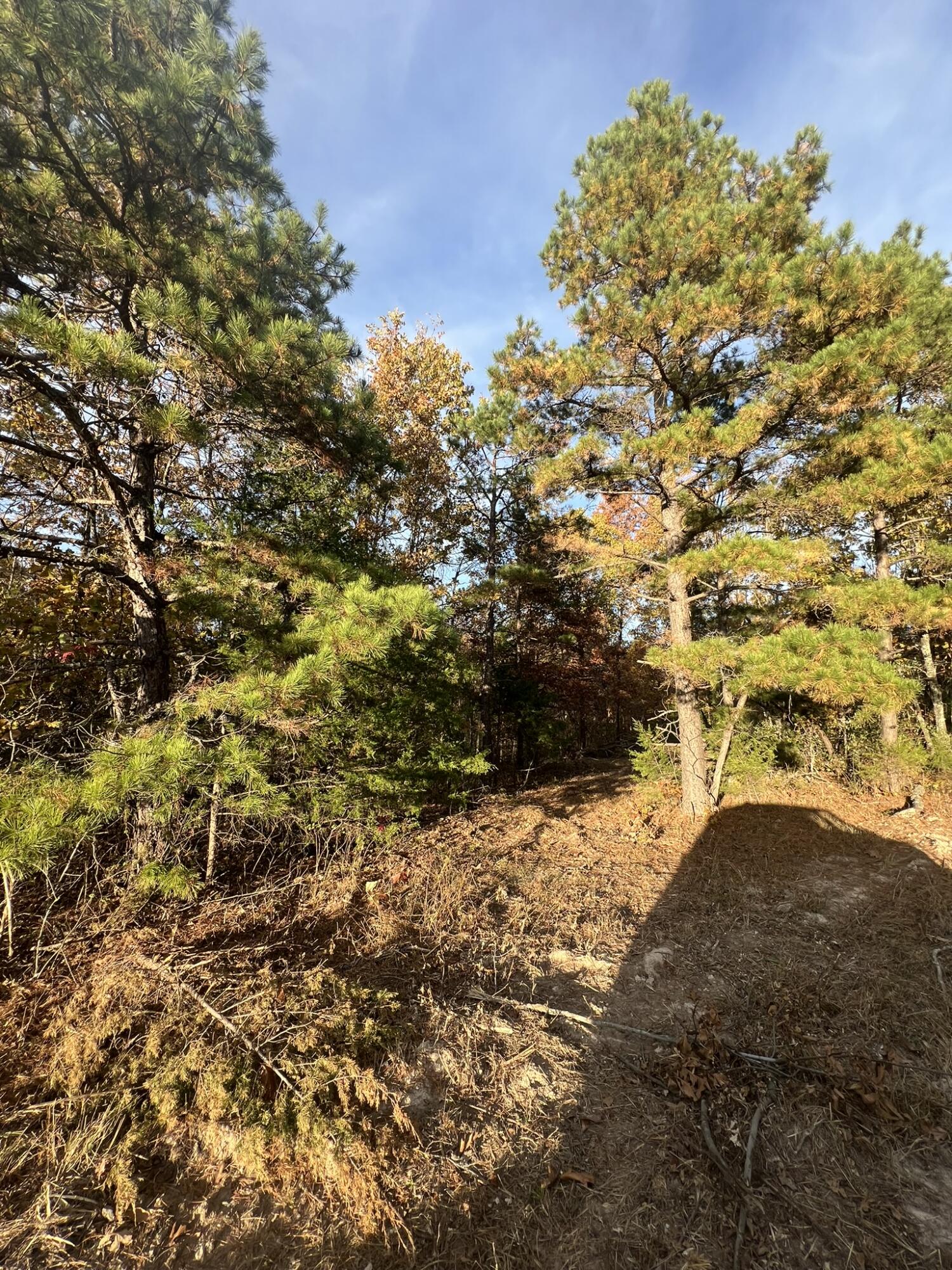 main property photo 16