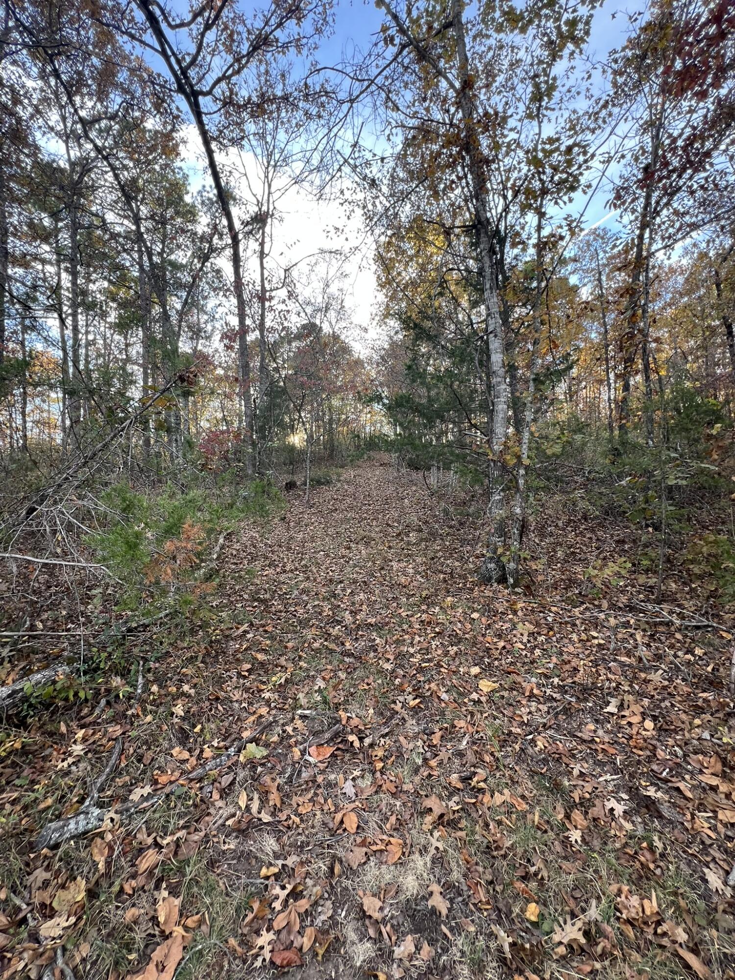 main property photo 21