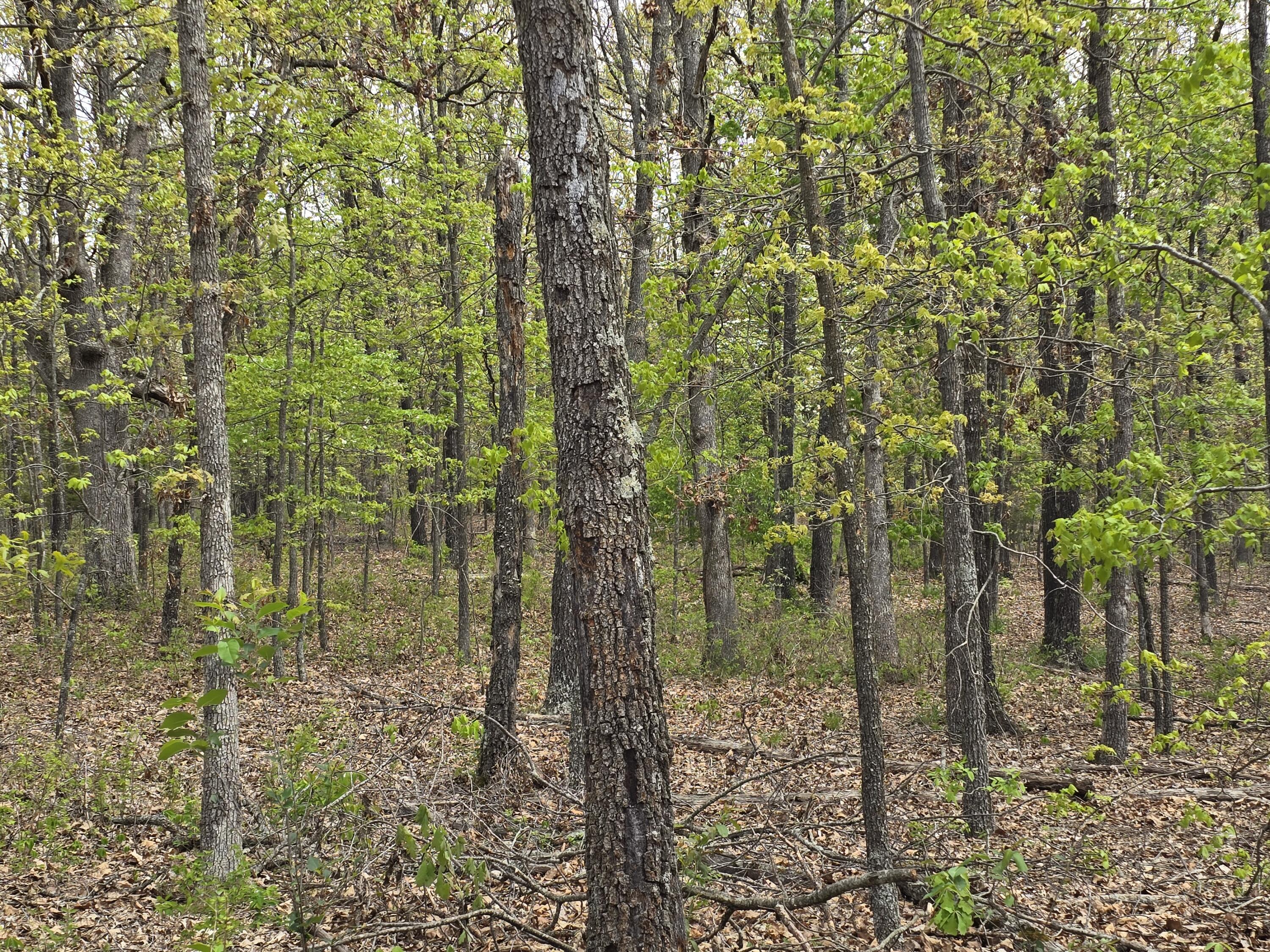 main property photo 18