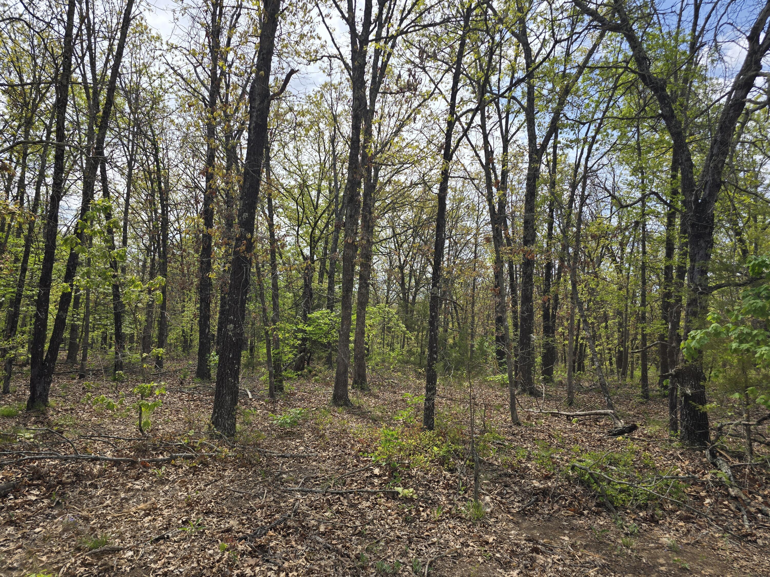 main property photo 20
