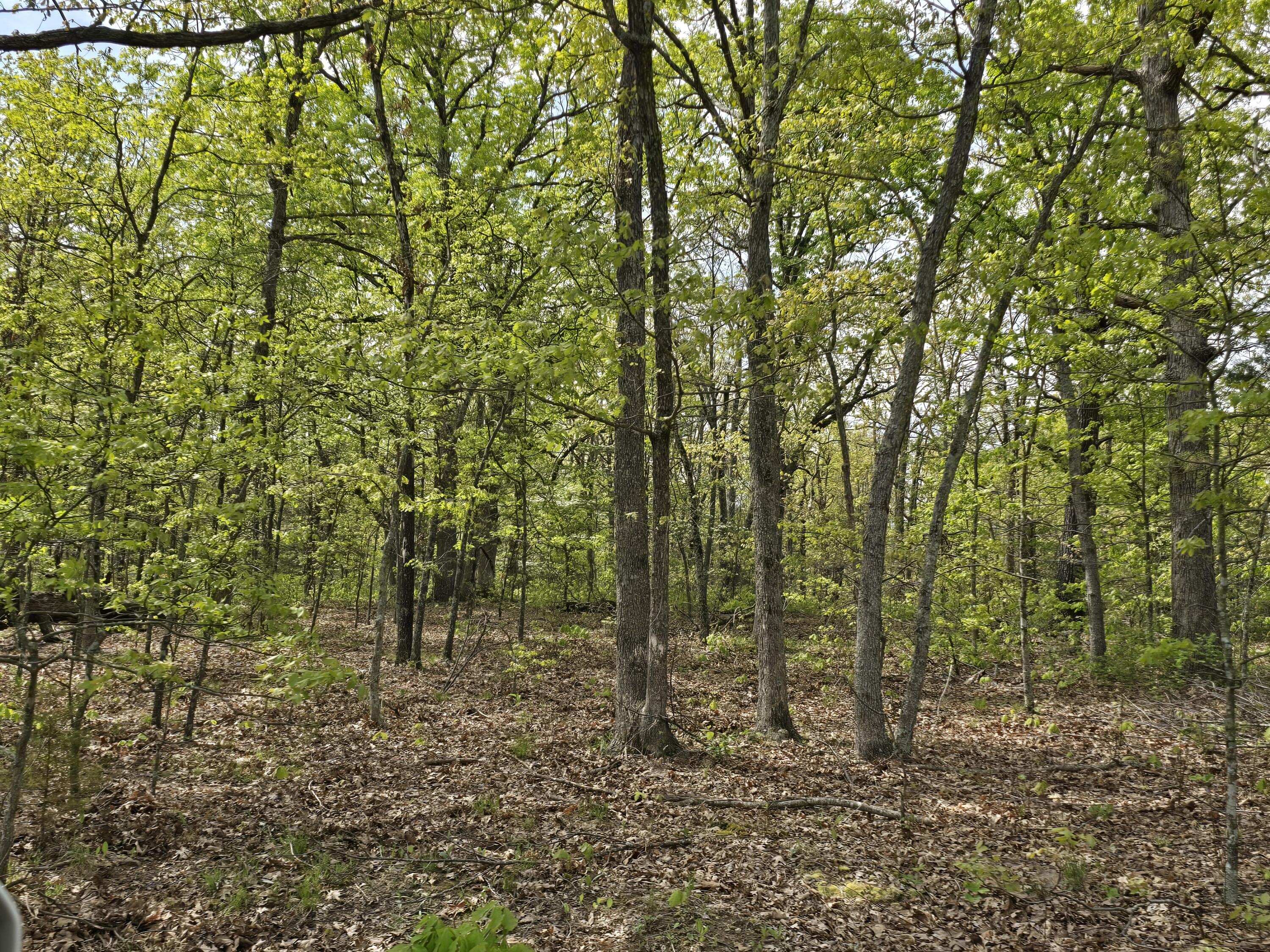 main property photo 11