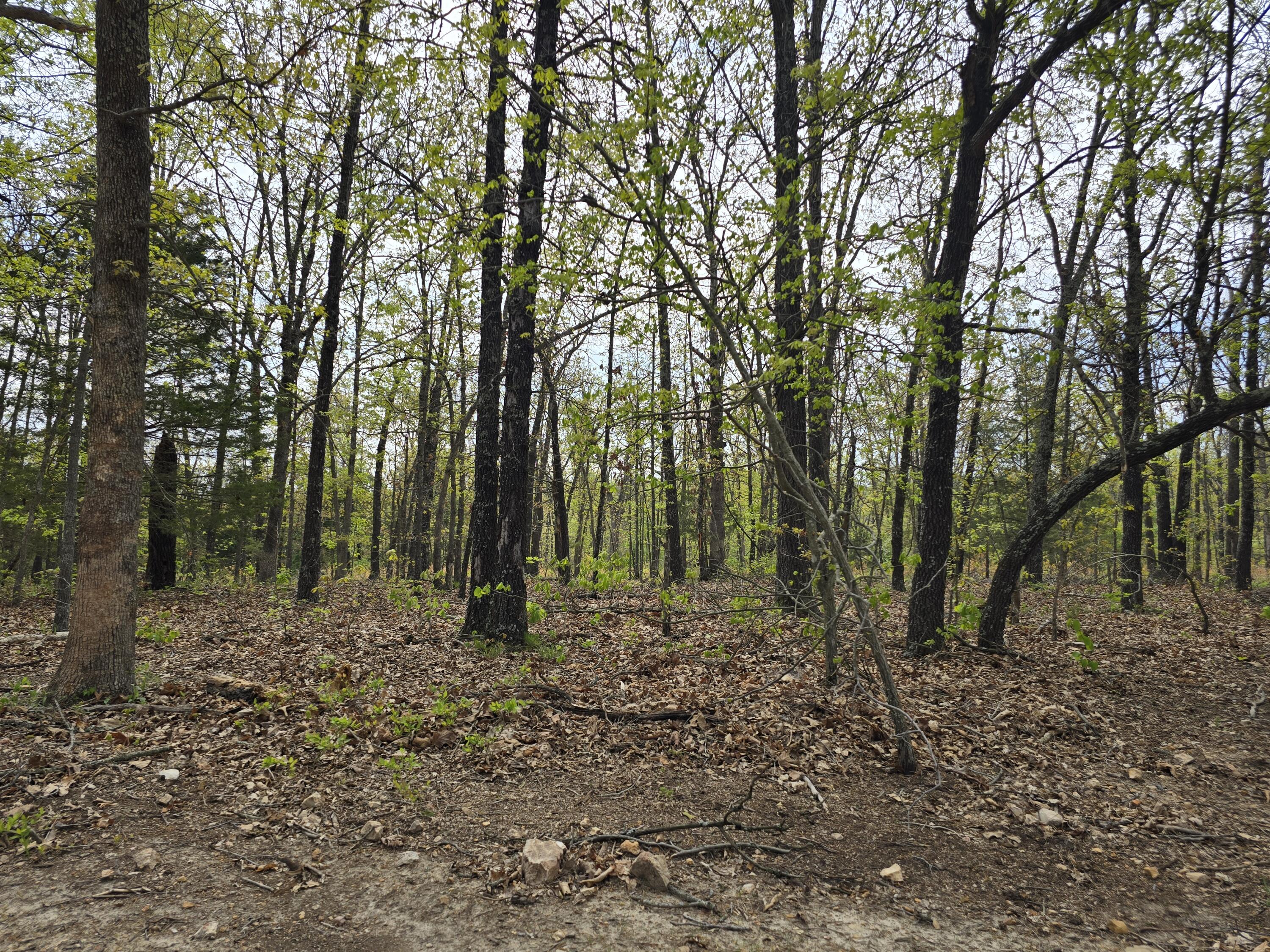 main property photo 16