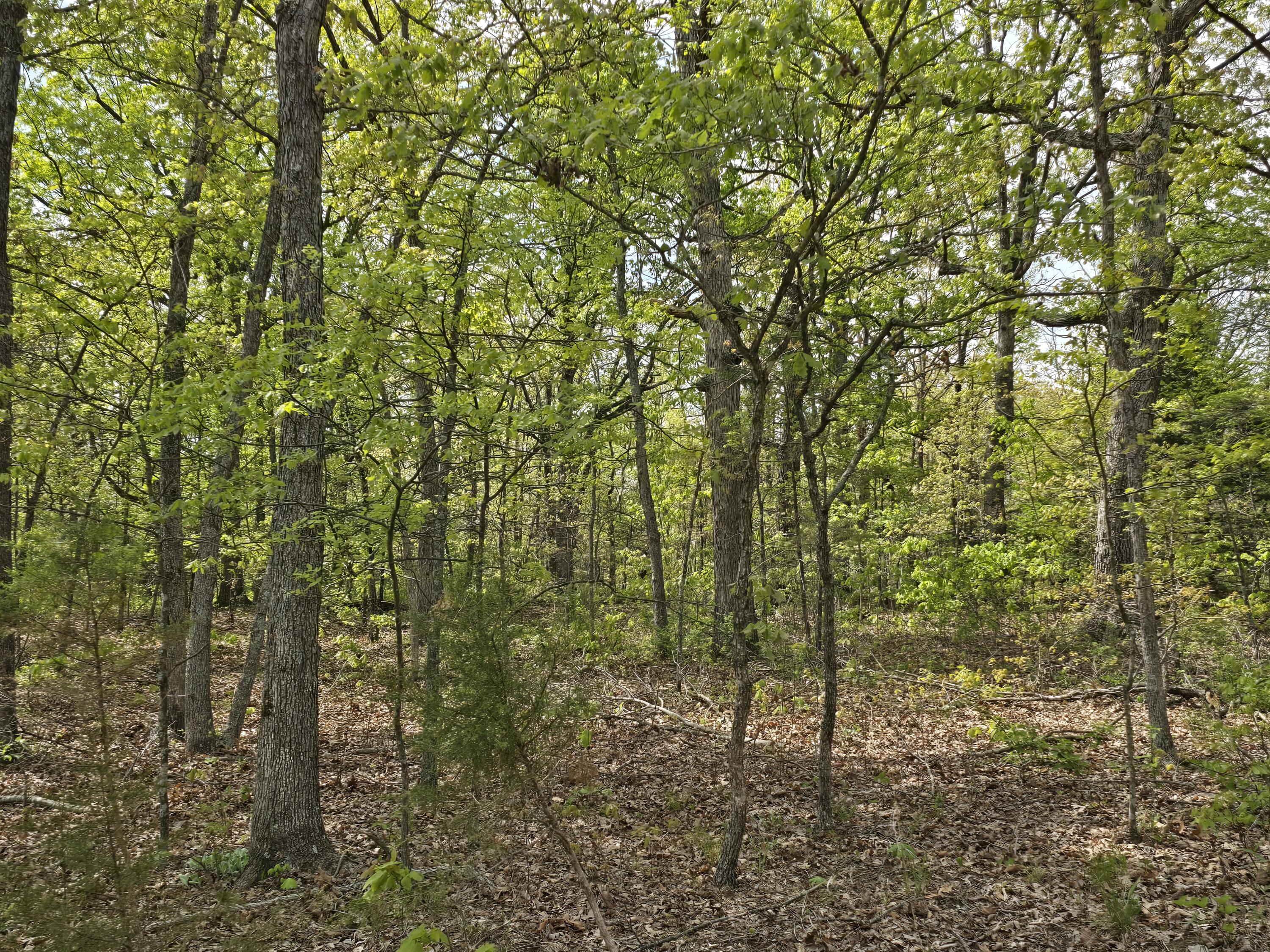 main property photo 10