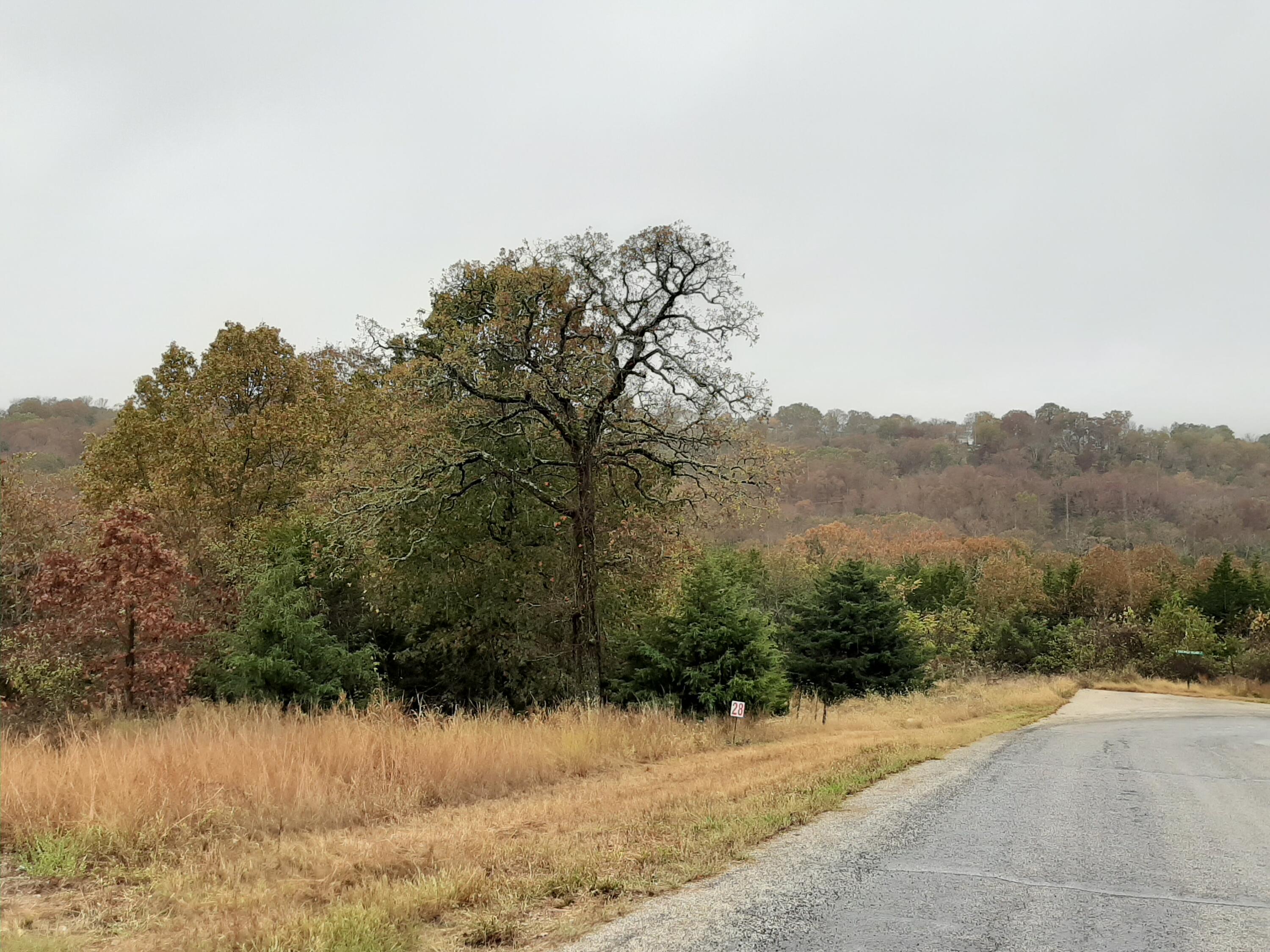 property viewer photo 7