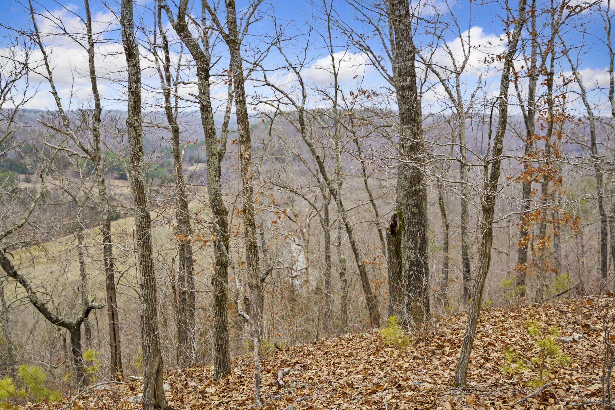 main property photo 41