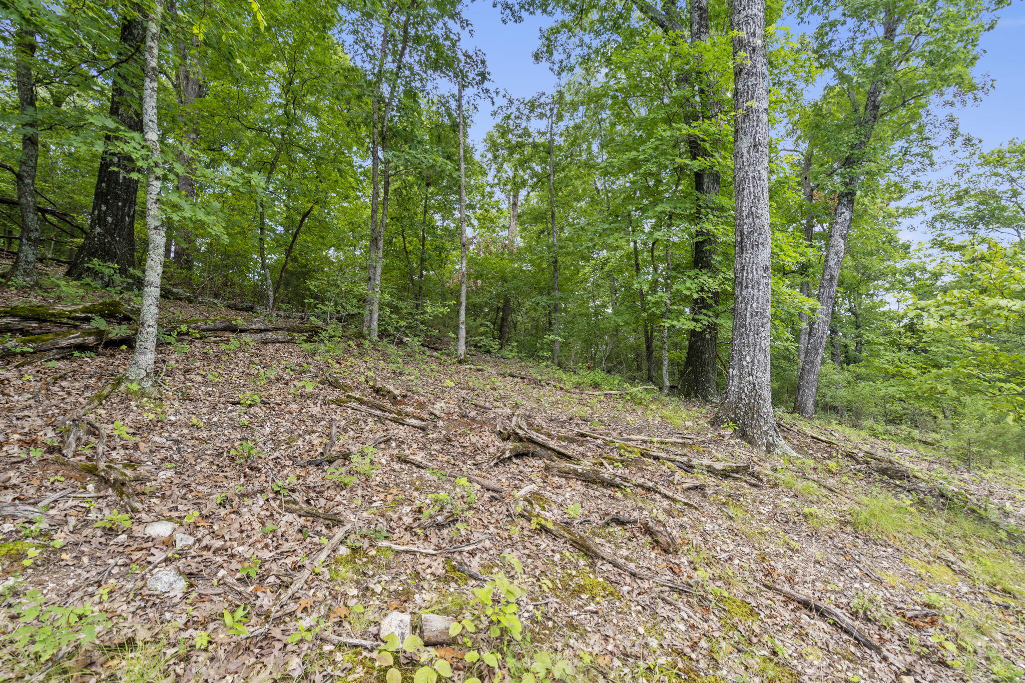 main property photo 21