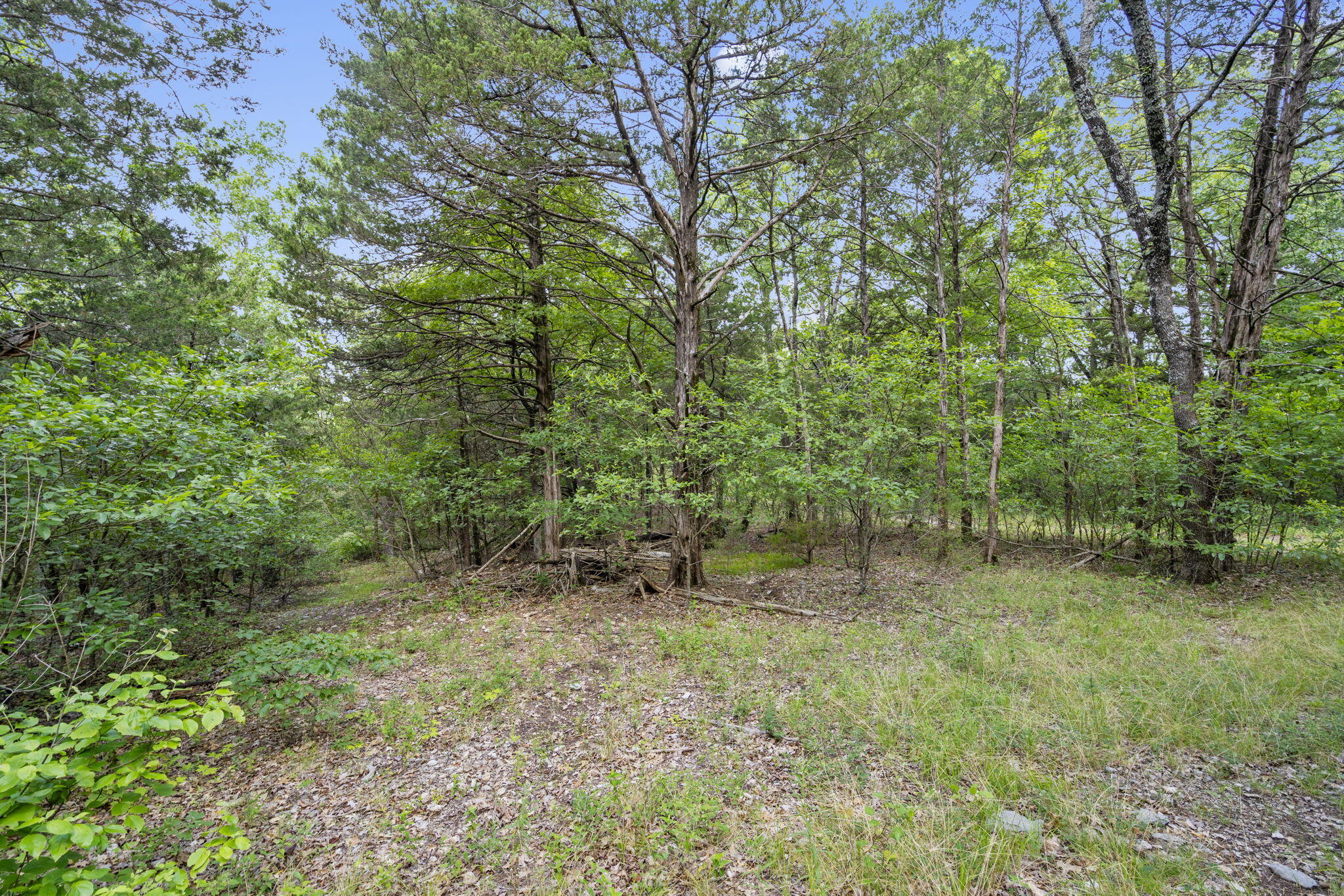main property photo 26
