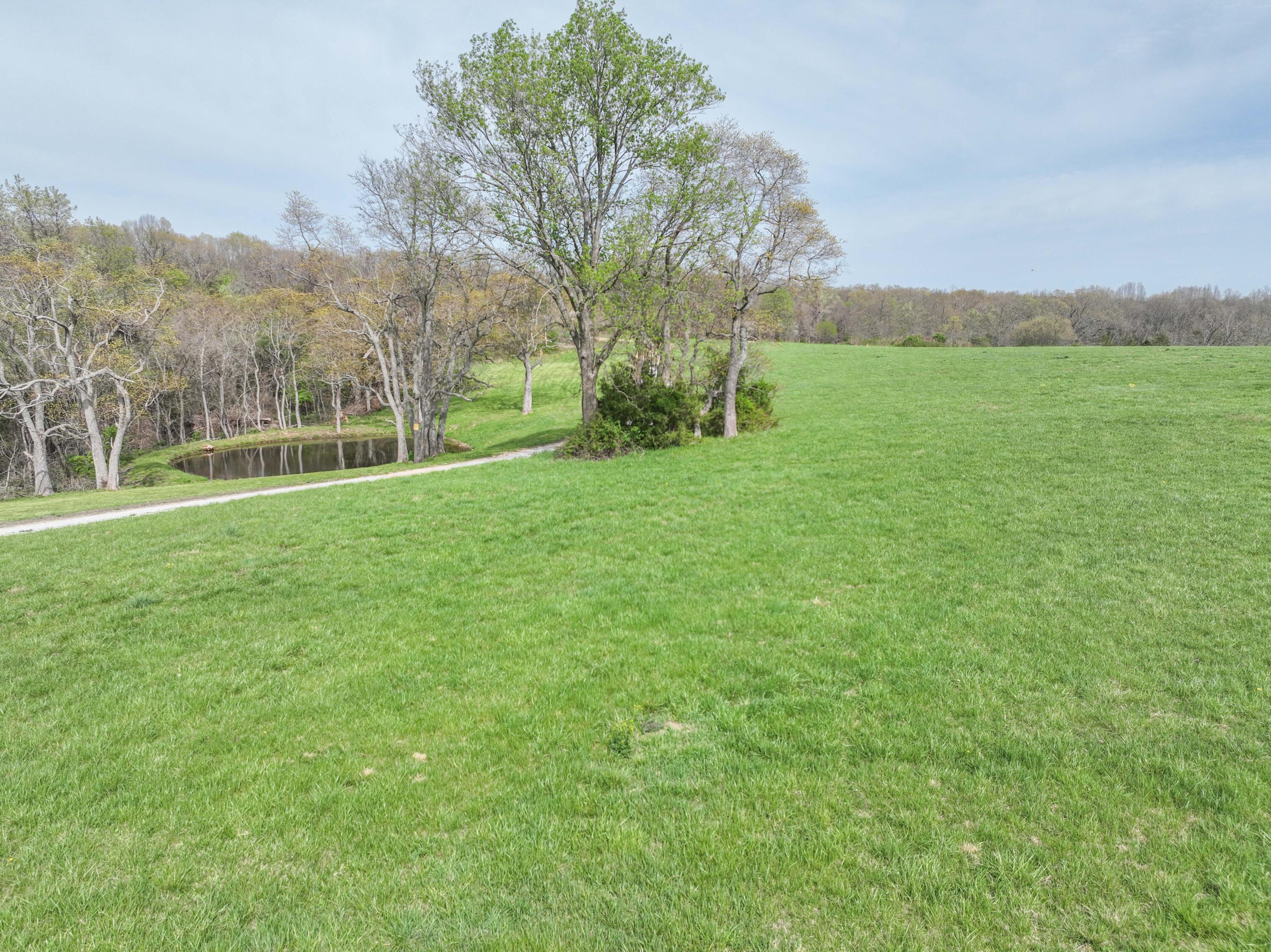 main property photo 19