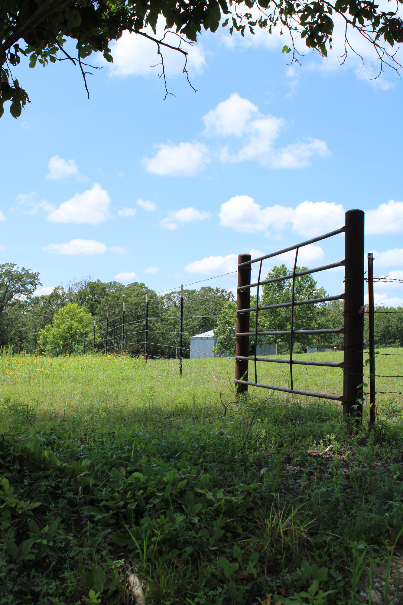 property viewer photo 55
