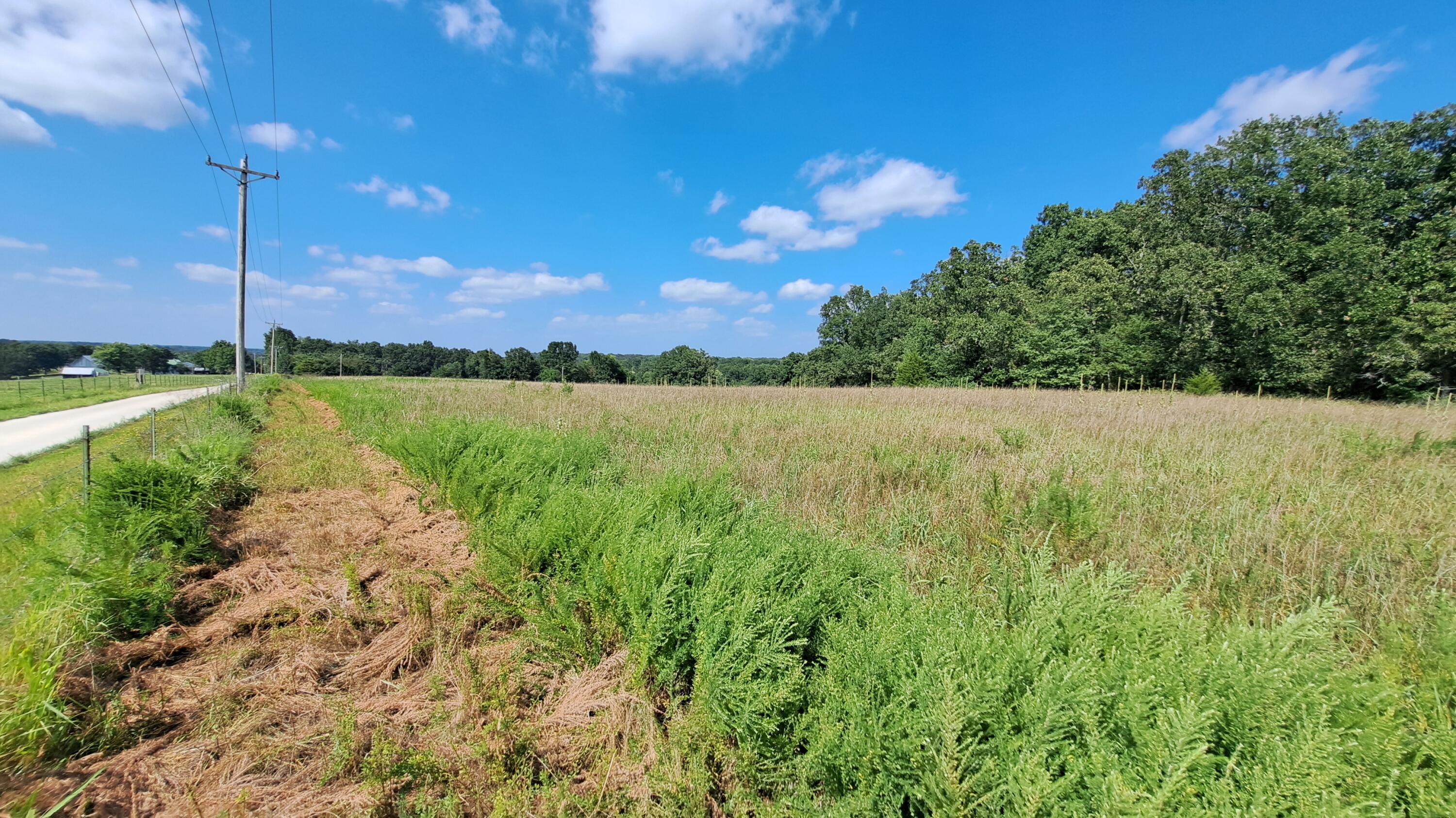 main property photo 13