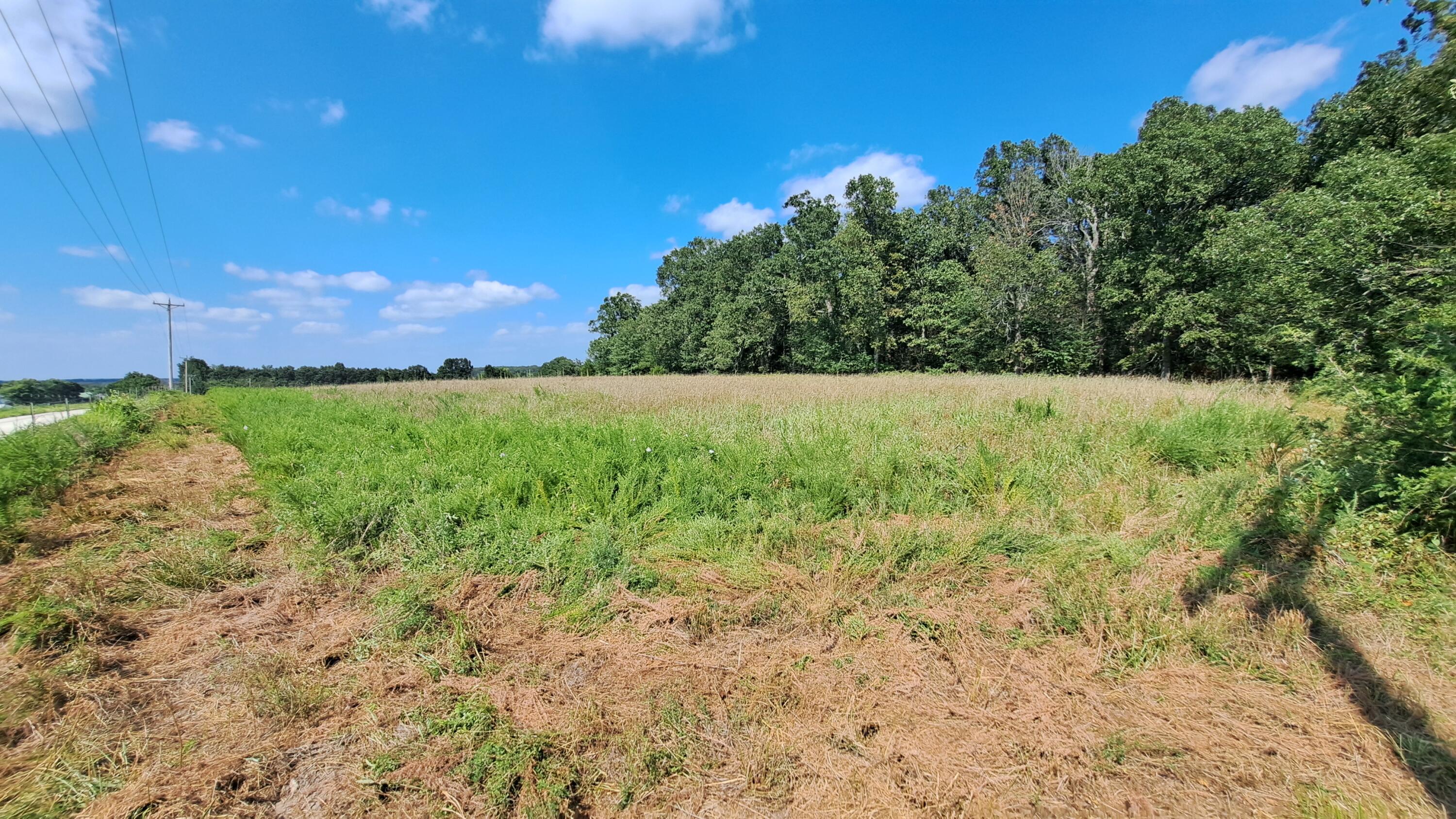 main property photo 14