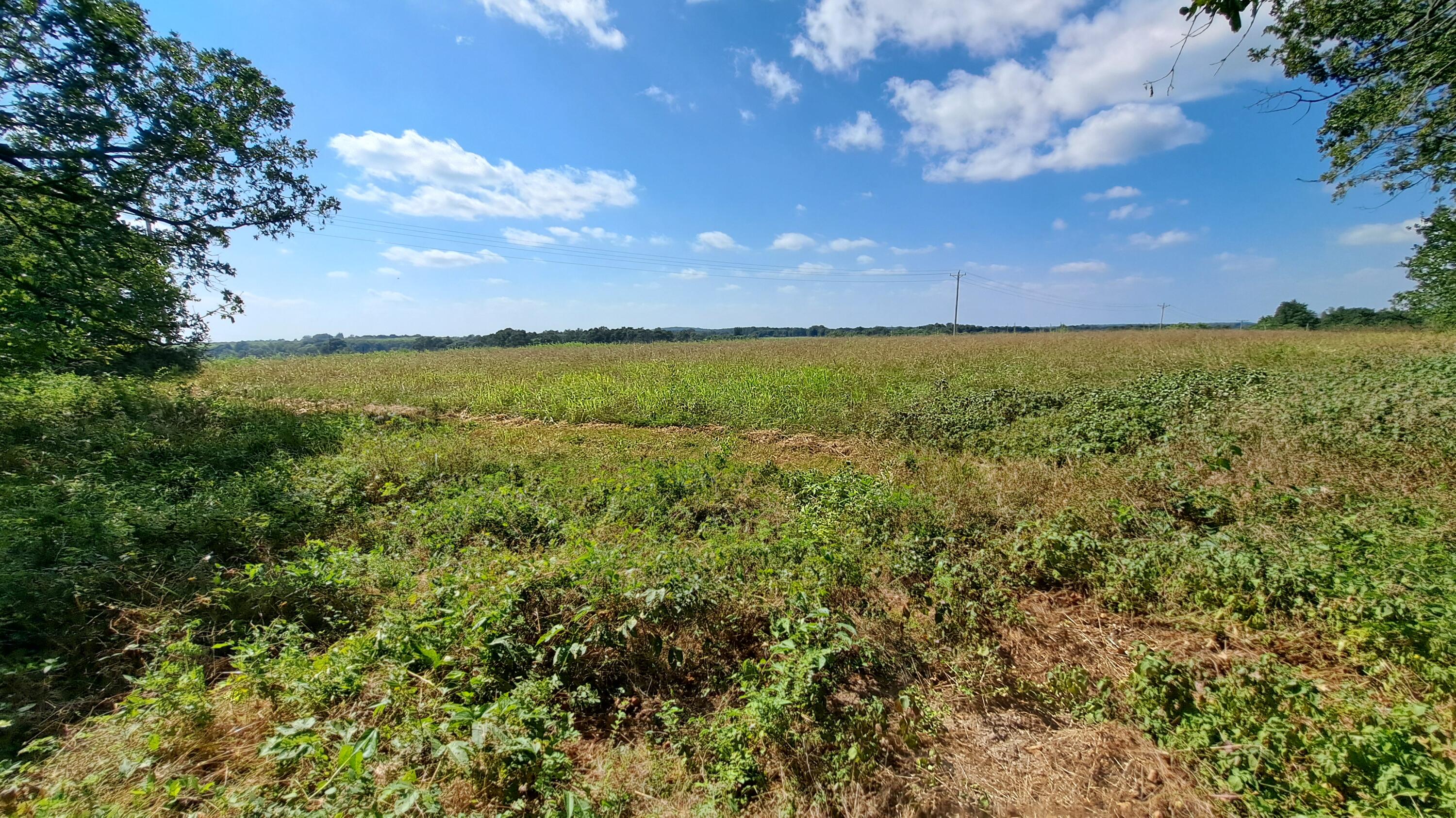 main property photo 16
