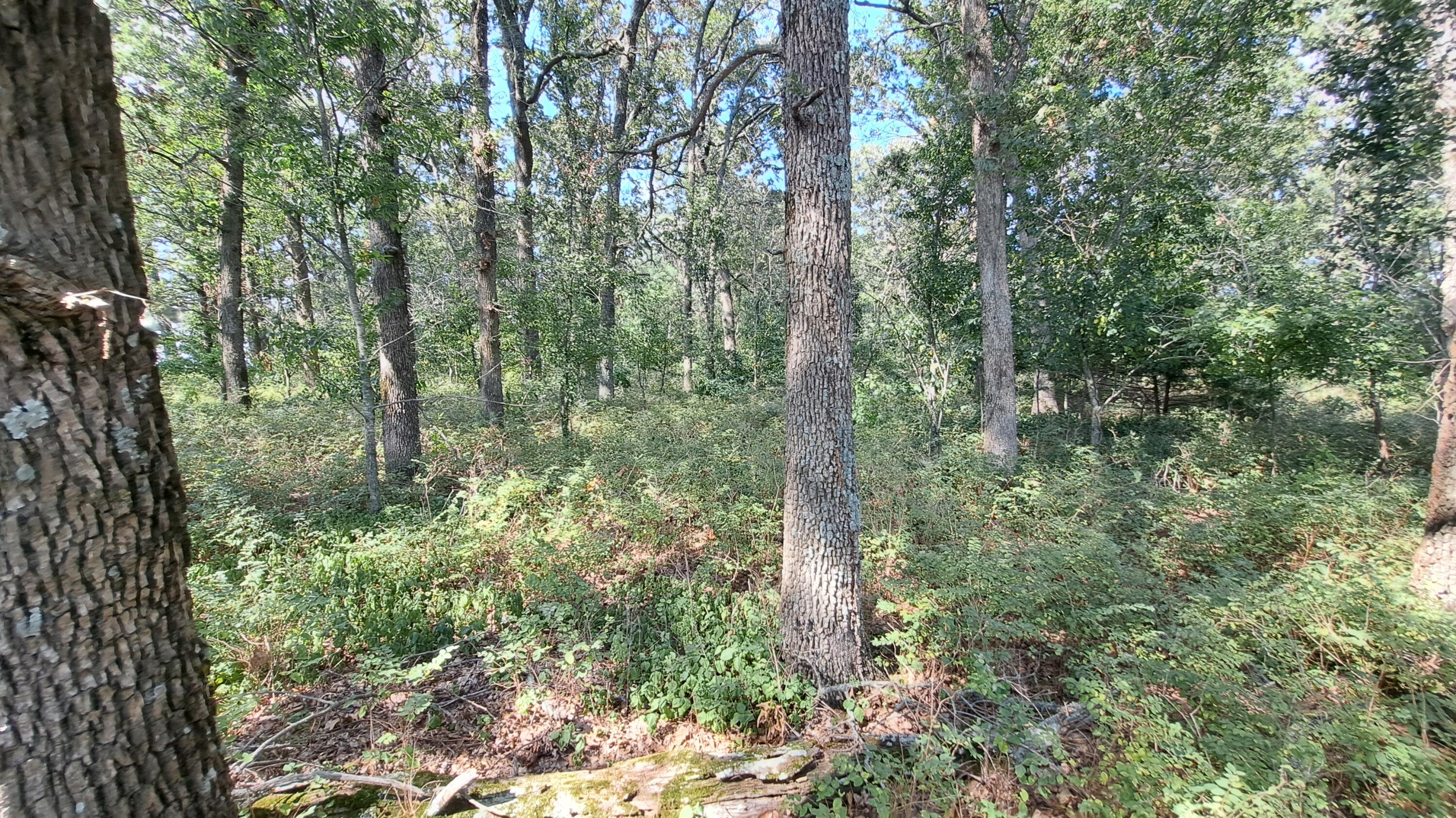 main property photo 17