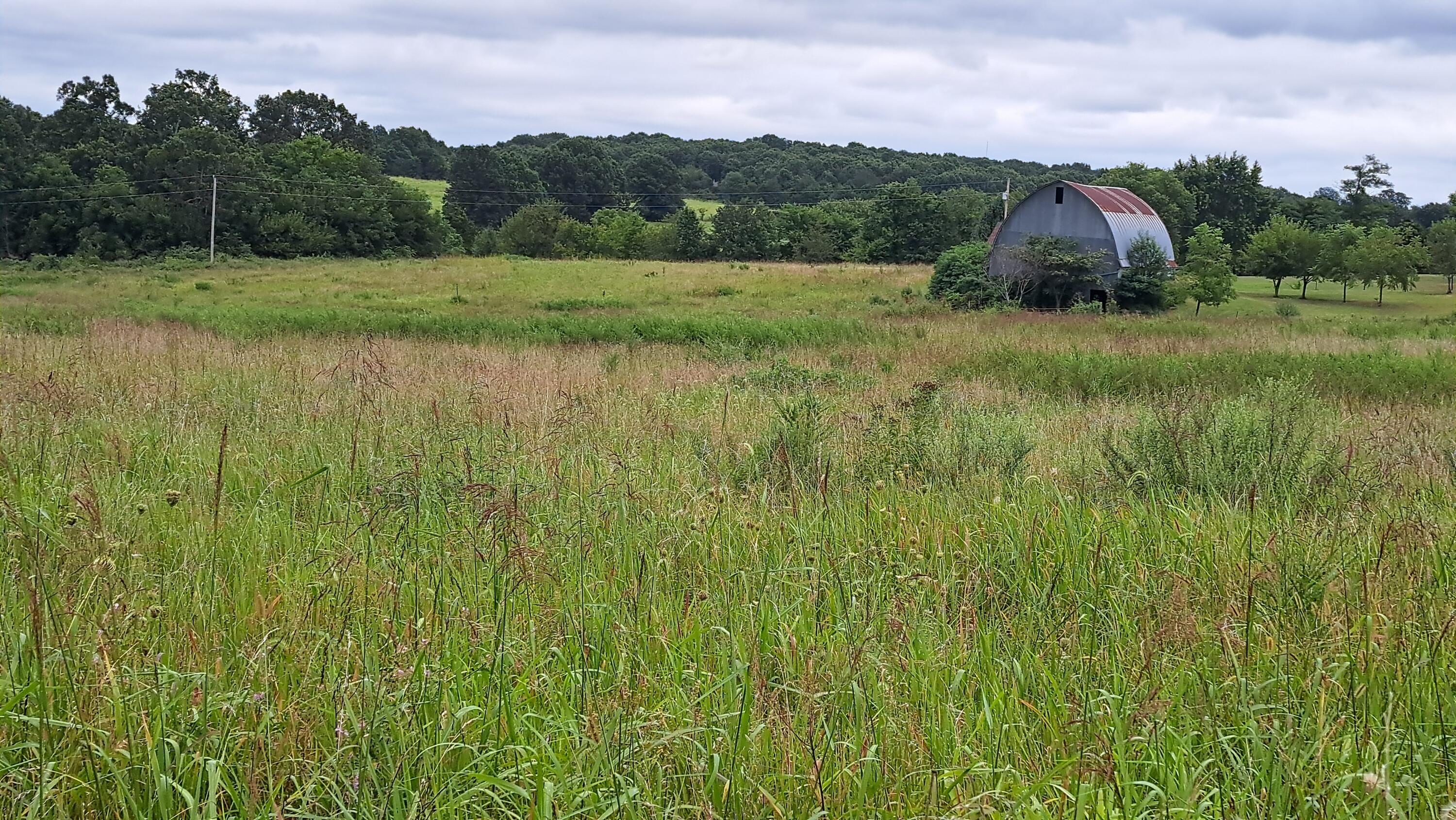 main property photo 26