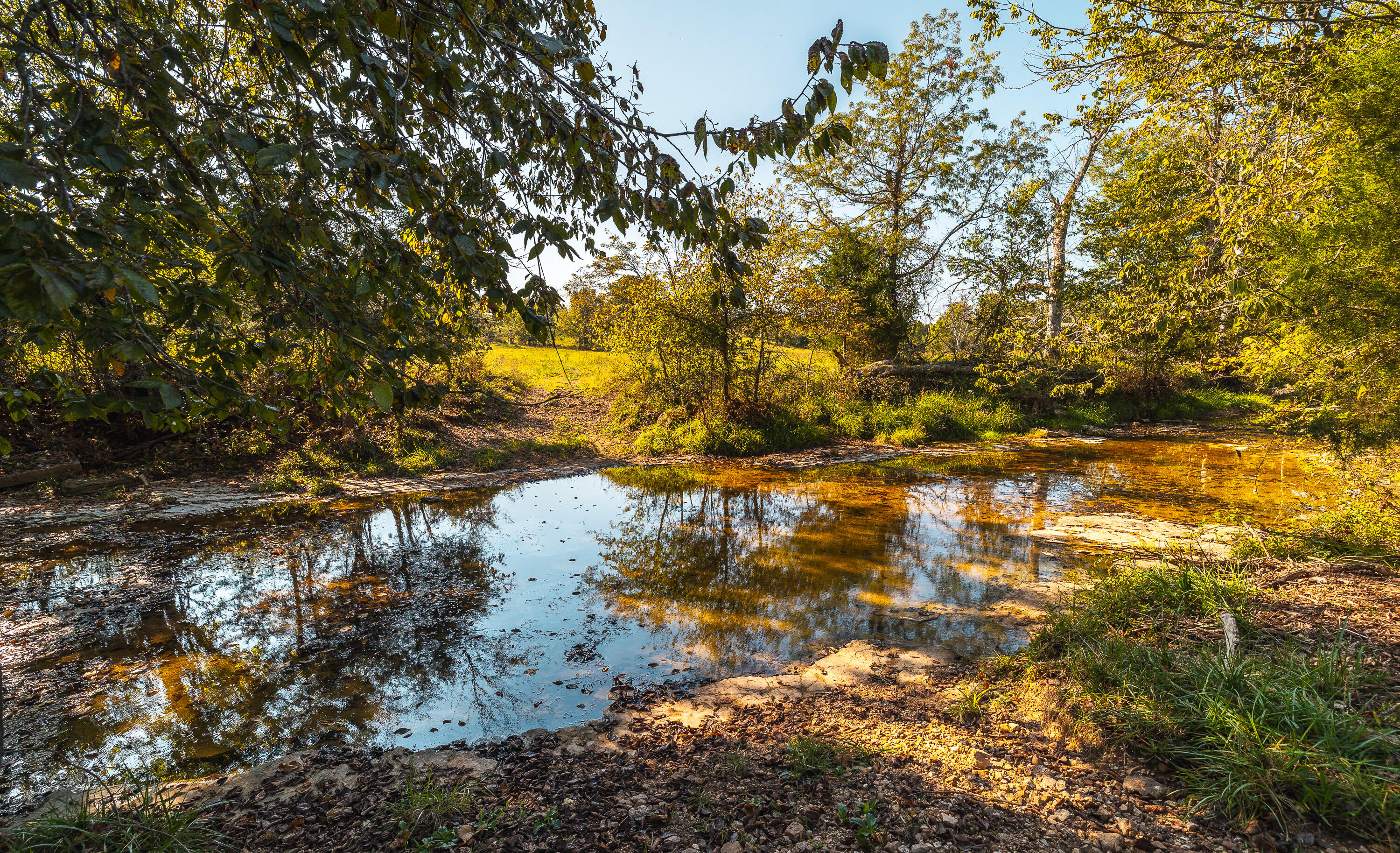 main property photo 82