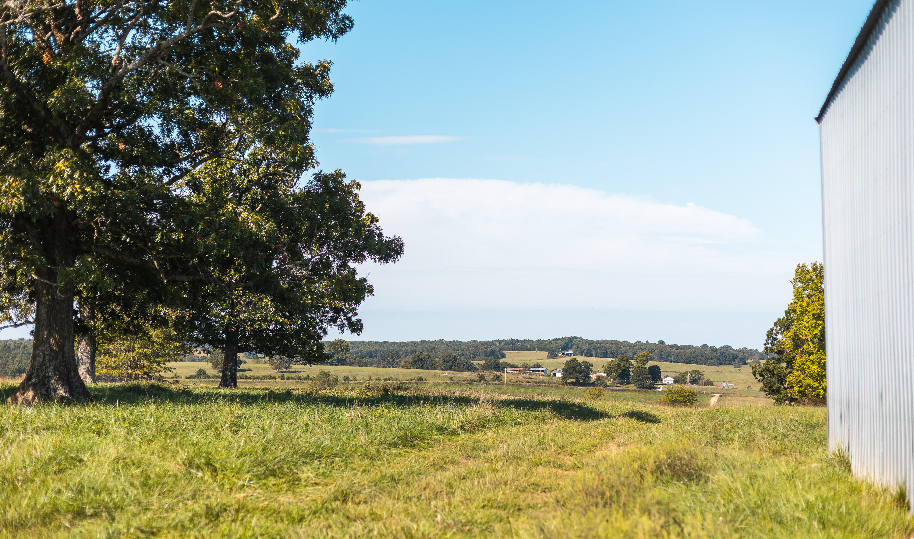 main property photo 93