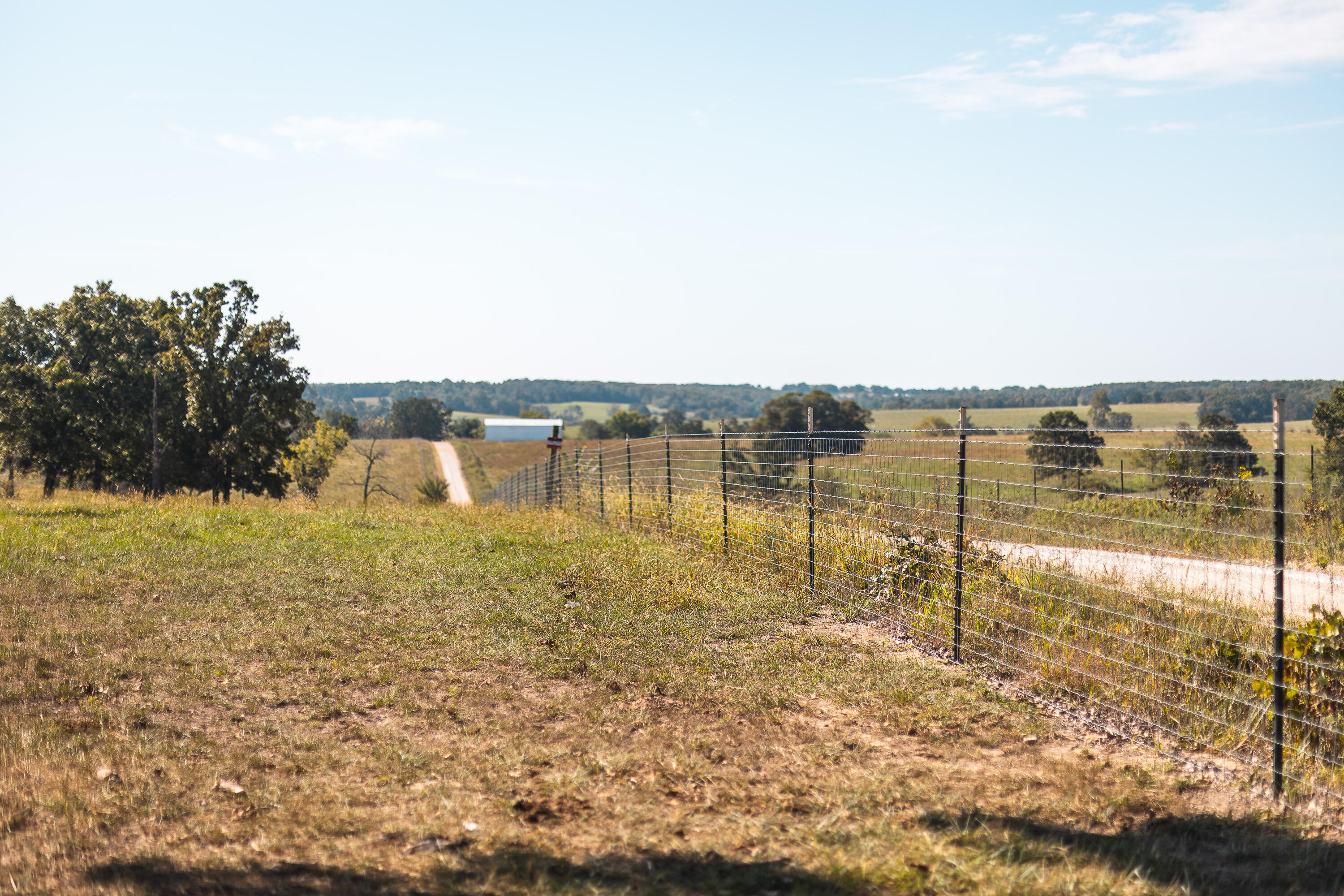 main property photo 96