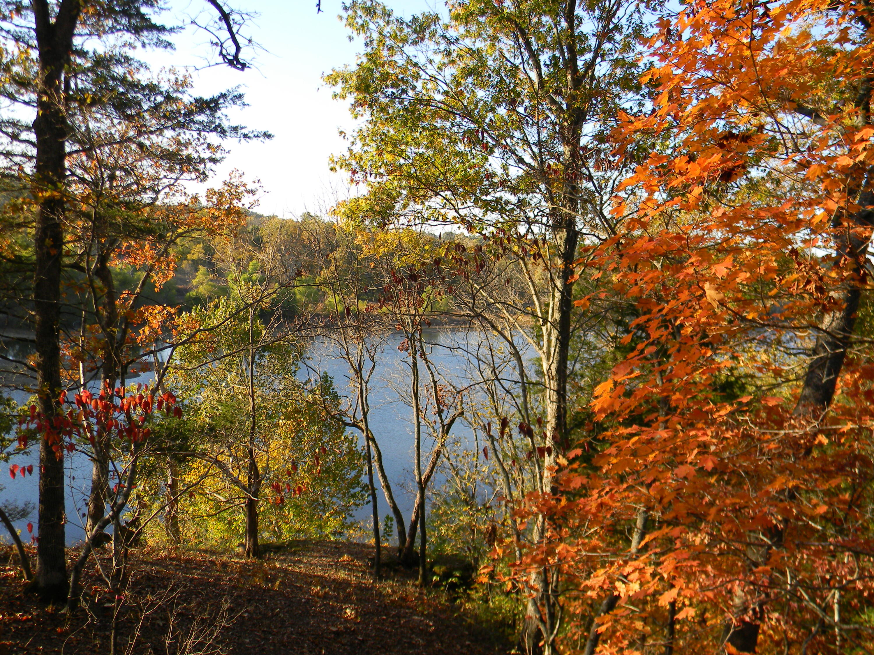 main property photo 20