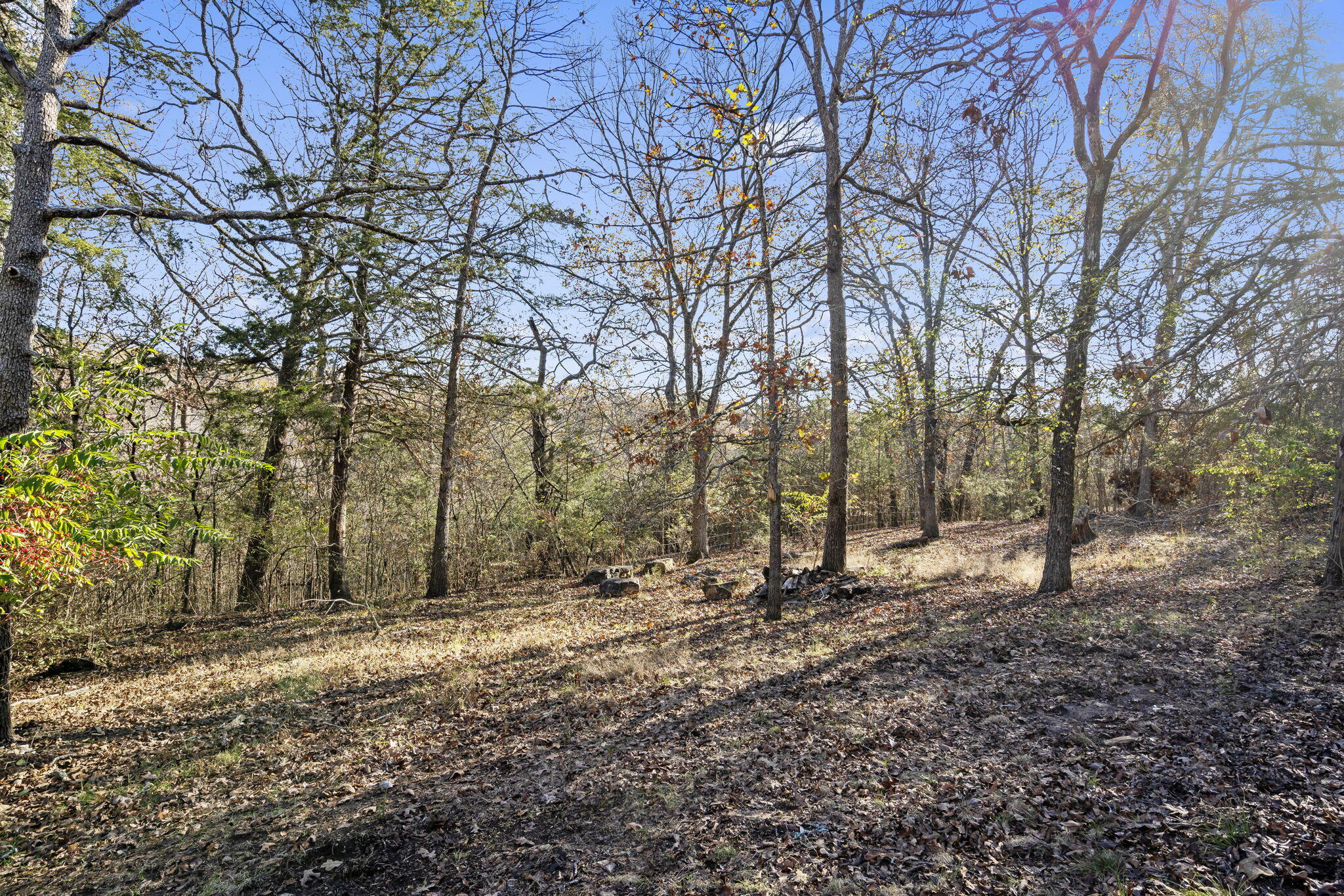 main property photo 25