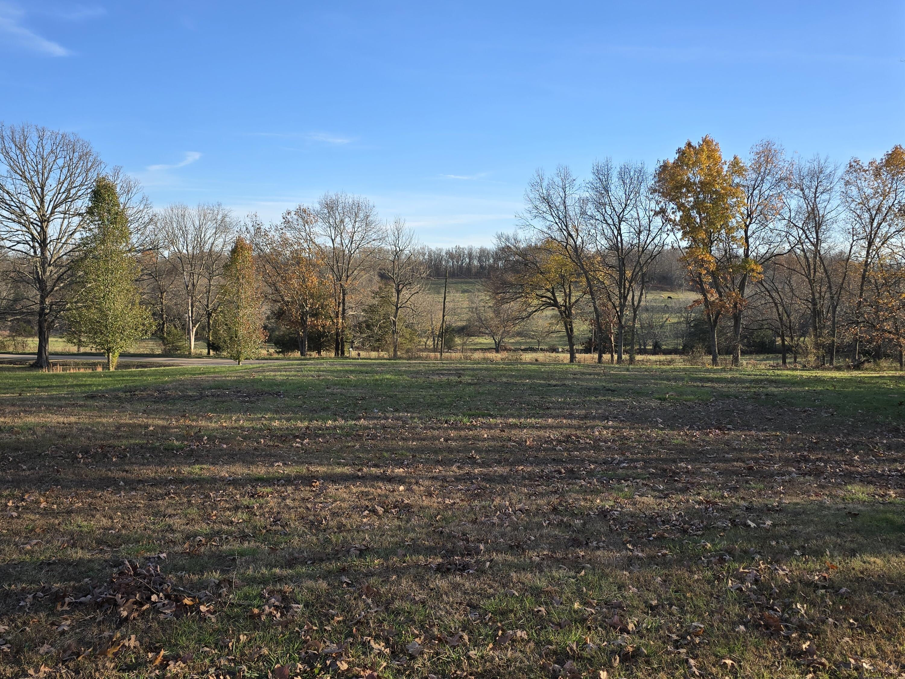 property viewer photo 2
