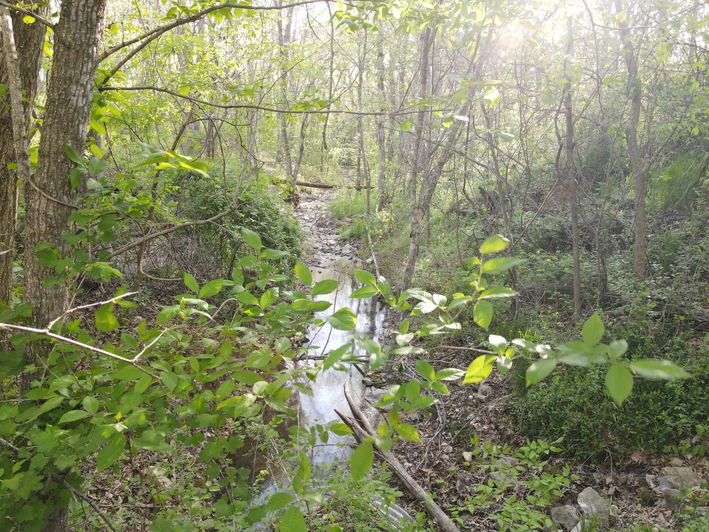 property viewer photo 10