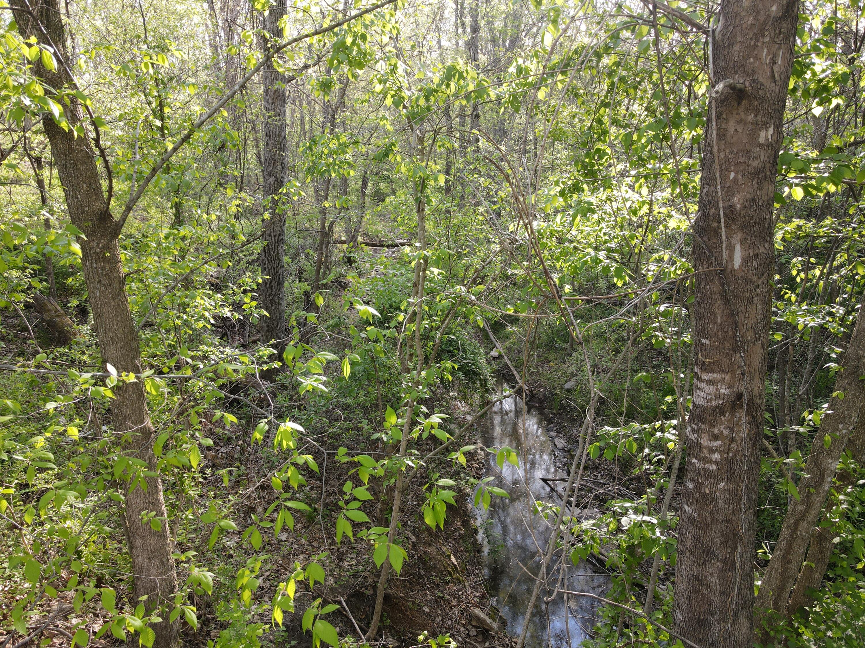 property viewer photo 7