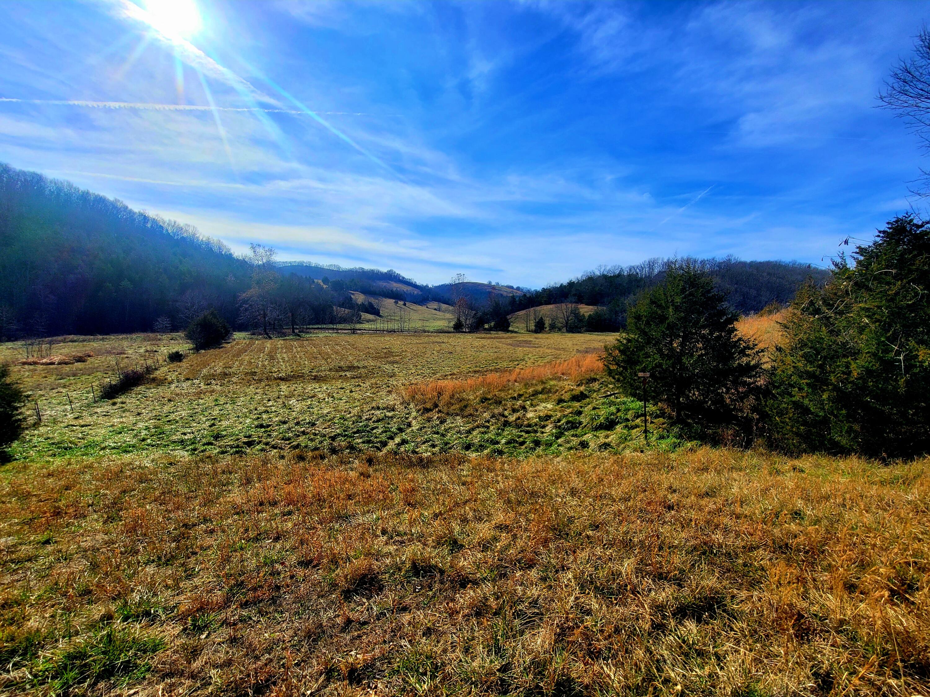 property viewer photo 10