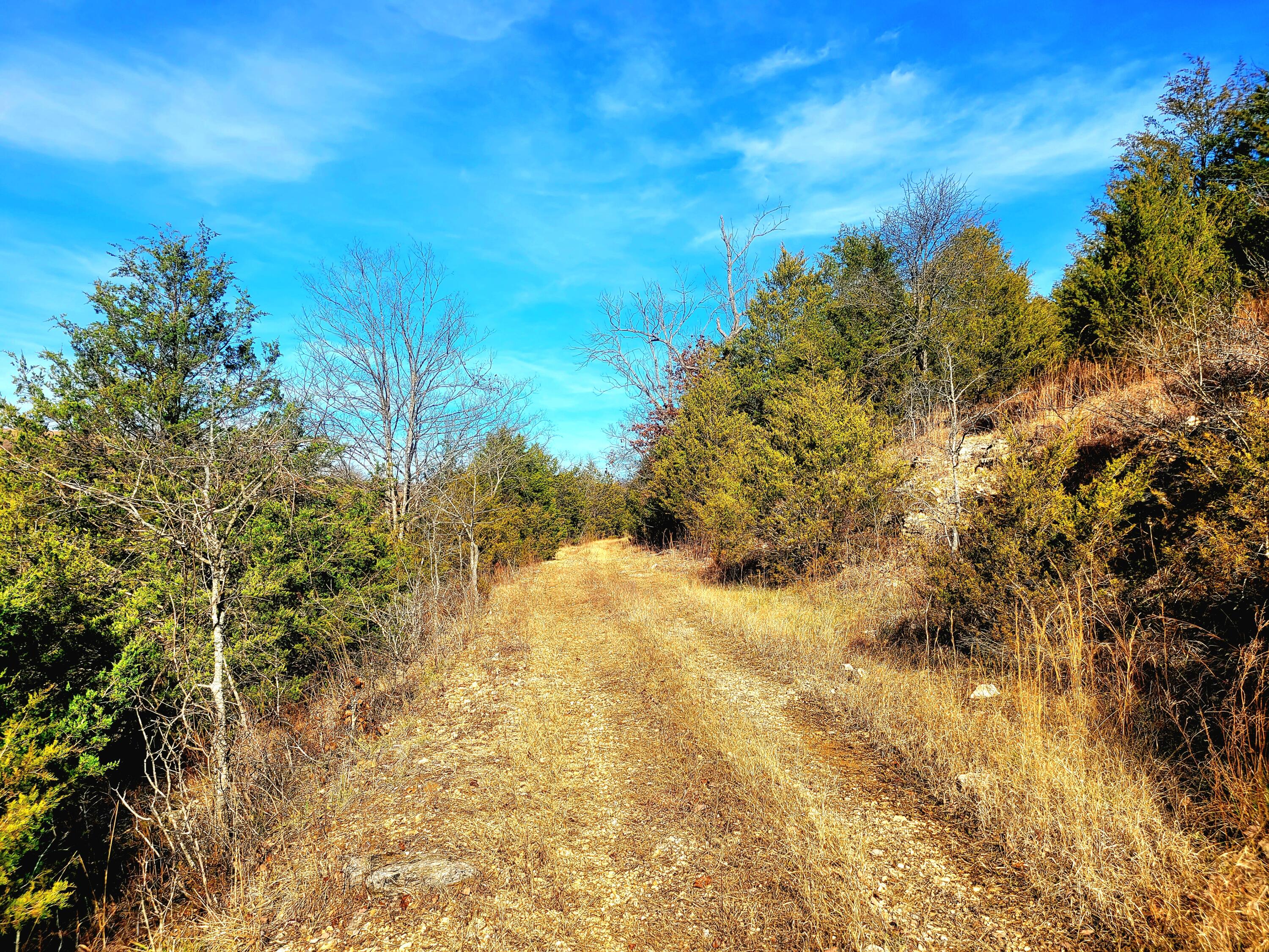 property viewer photo 12