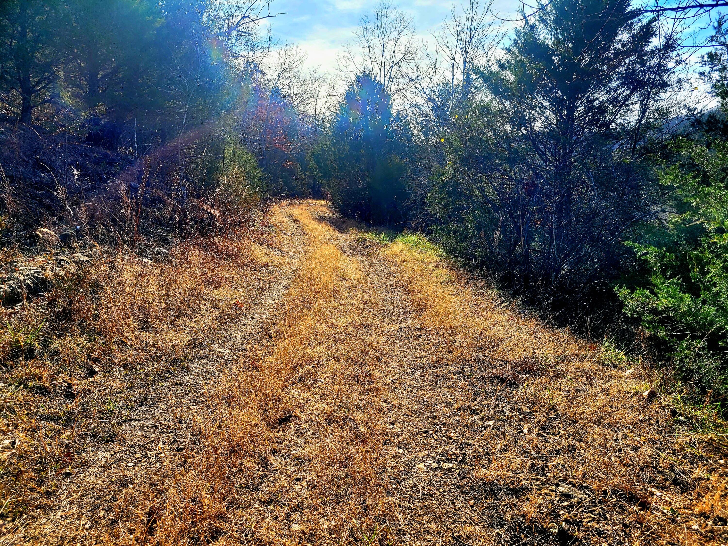 property viewer photo 13
