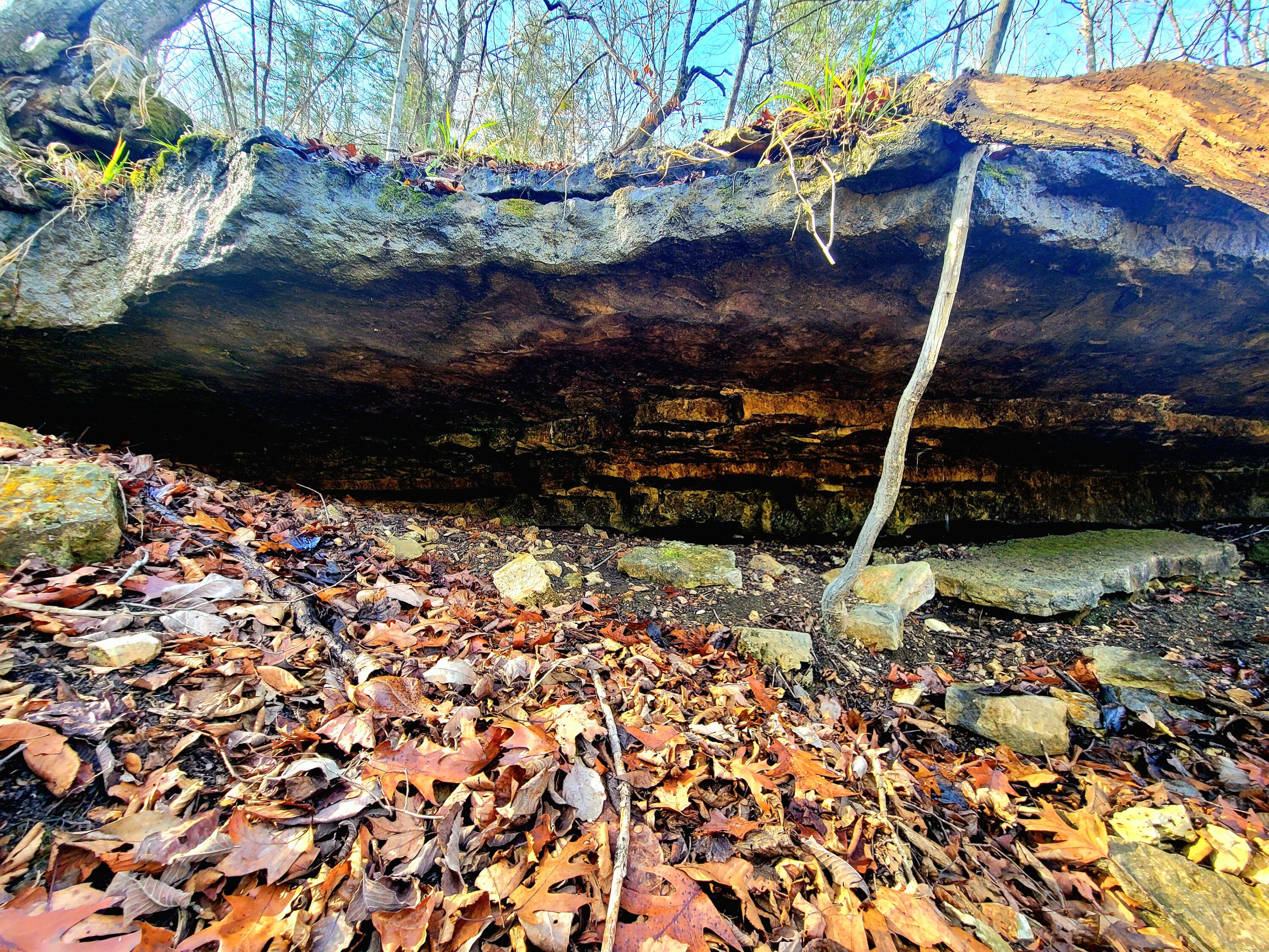 property viewer photo 14