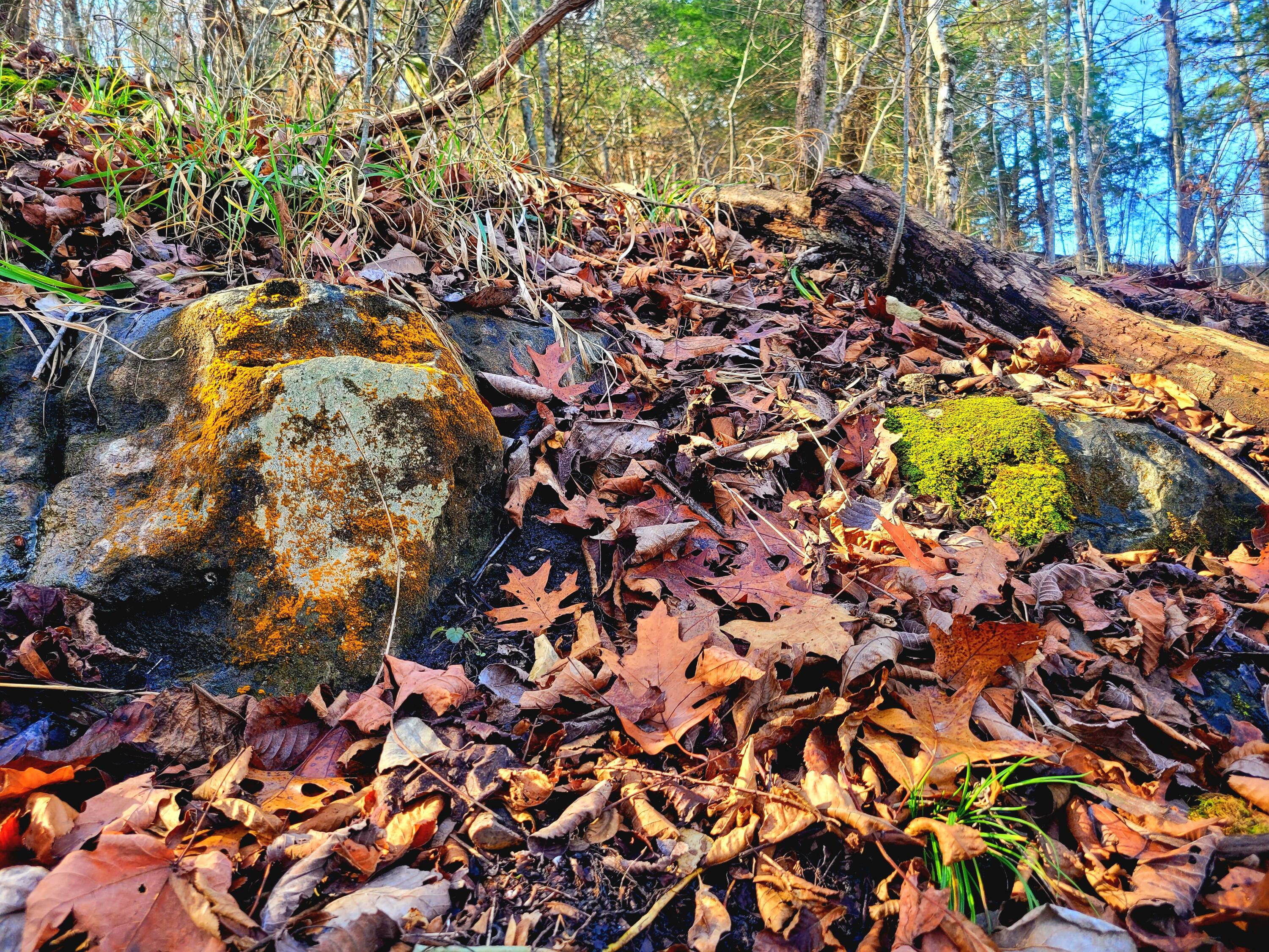 property viewer photo 16