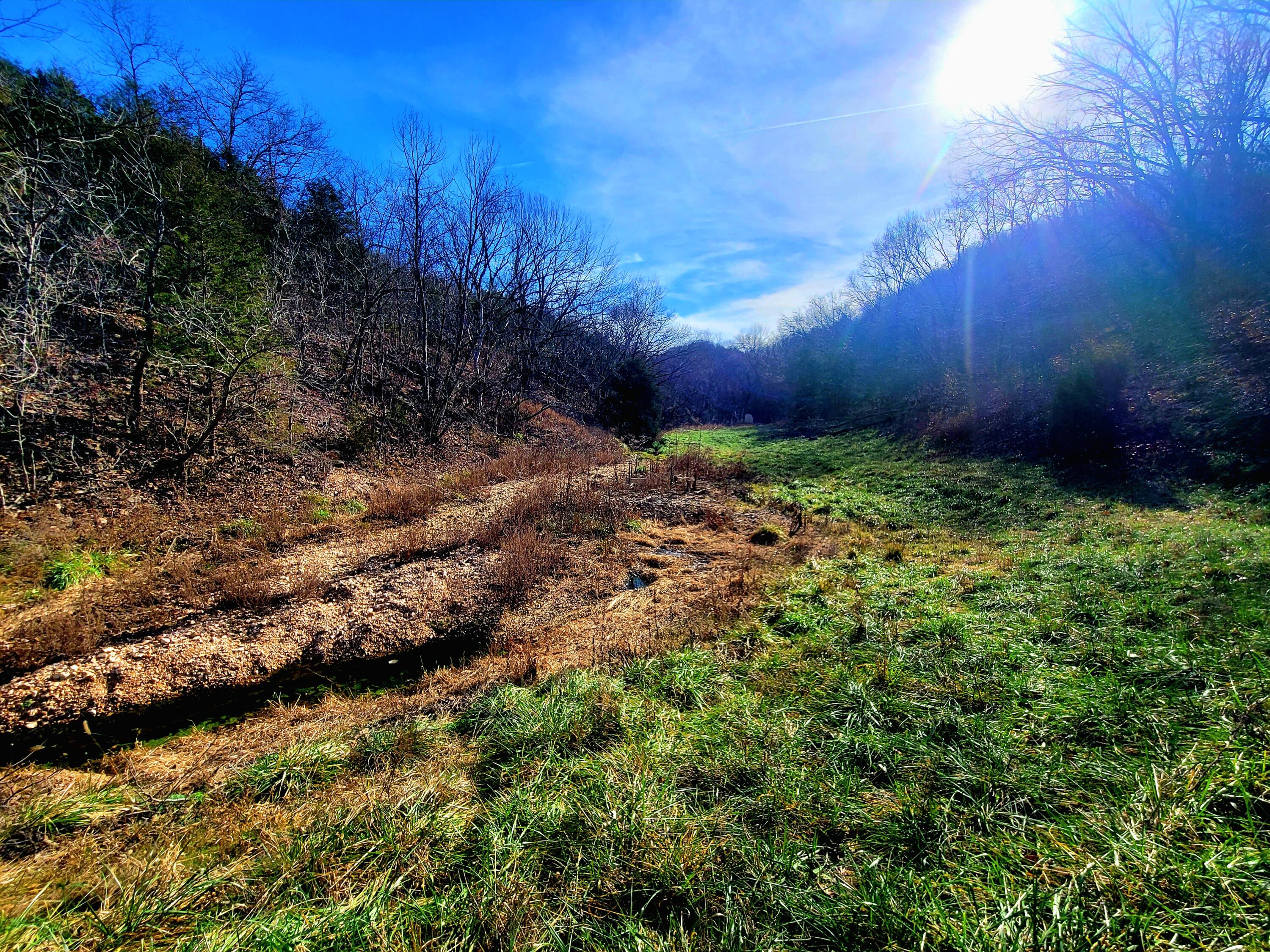 property viewer photo 19