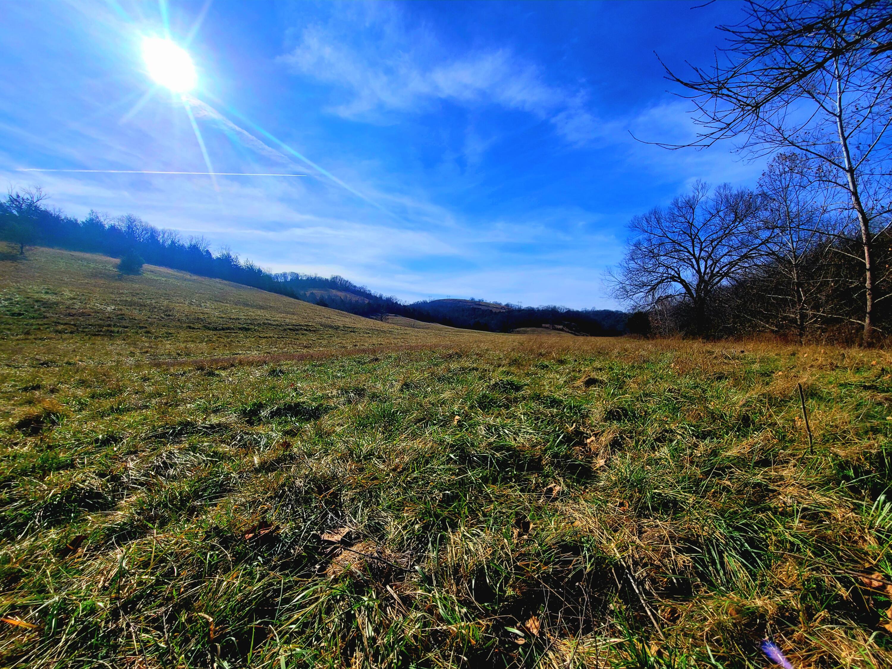 property viewer photo 20