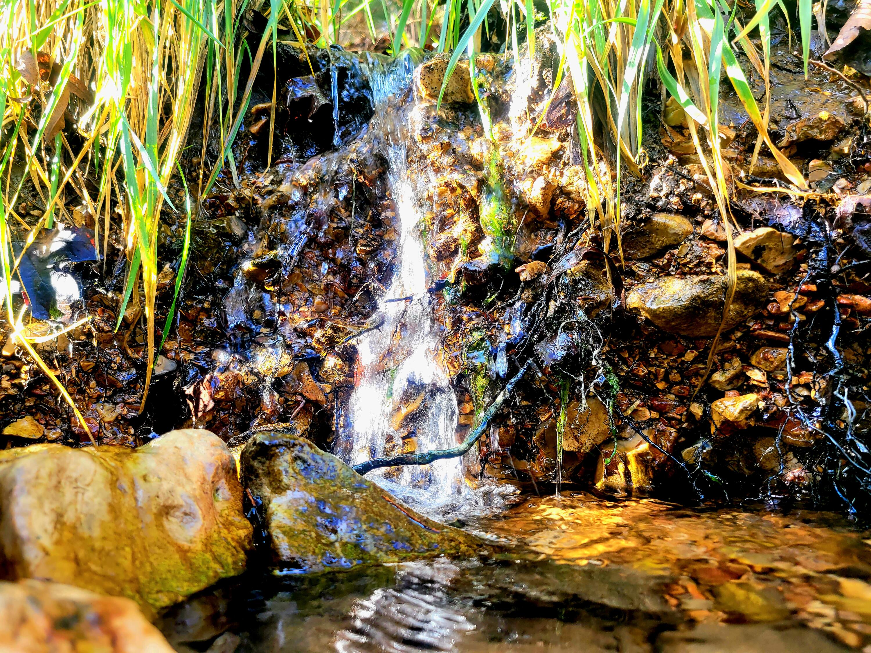 property viewer photo 22
