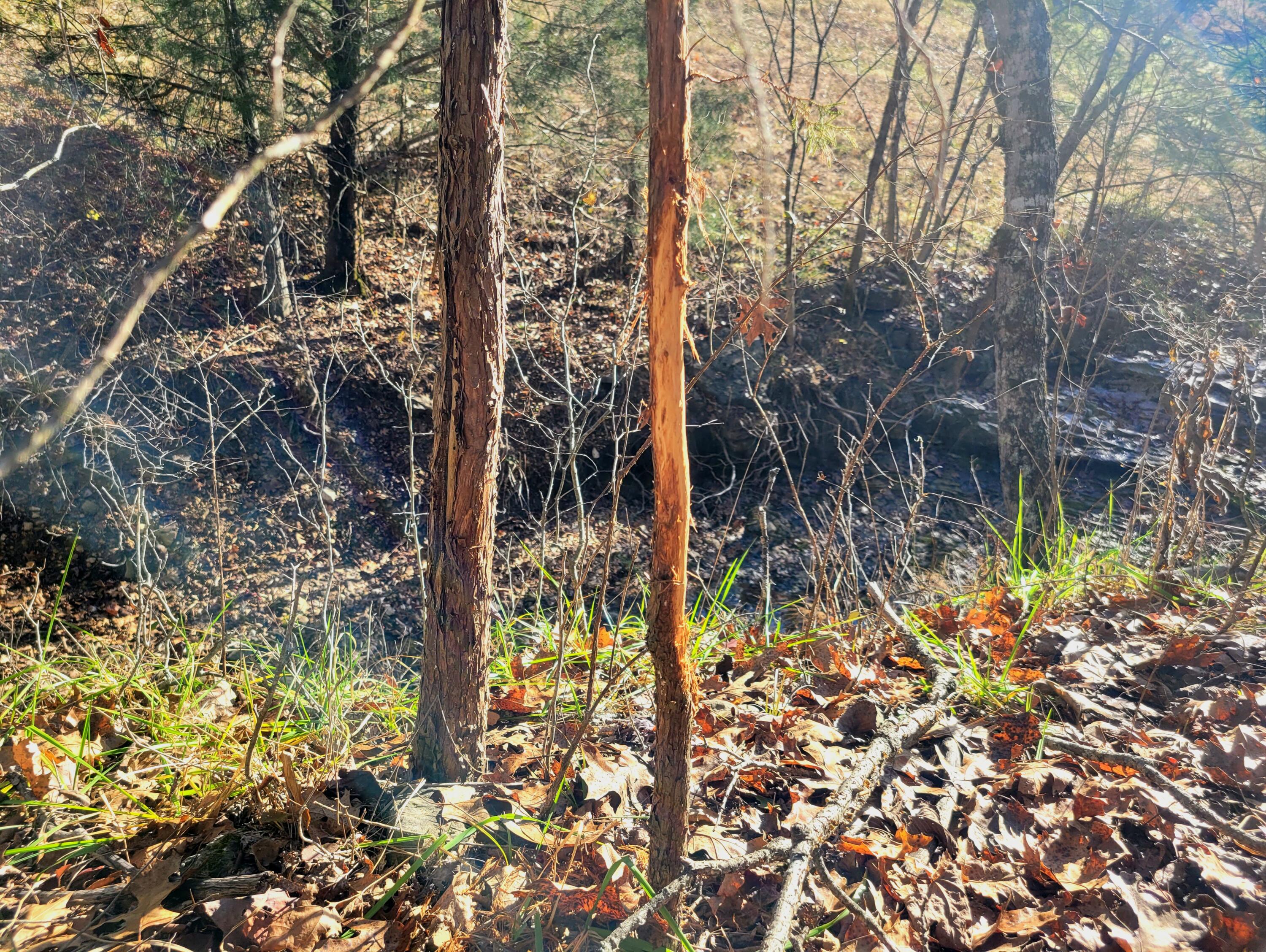 property viewer photo 23