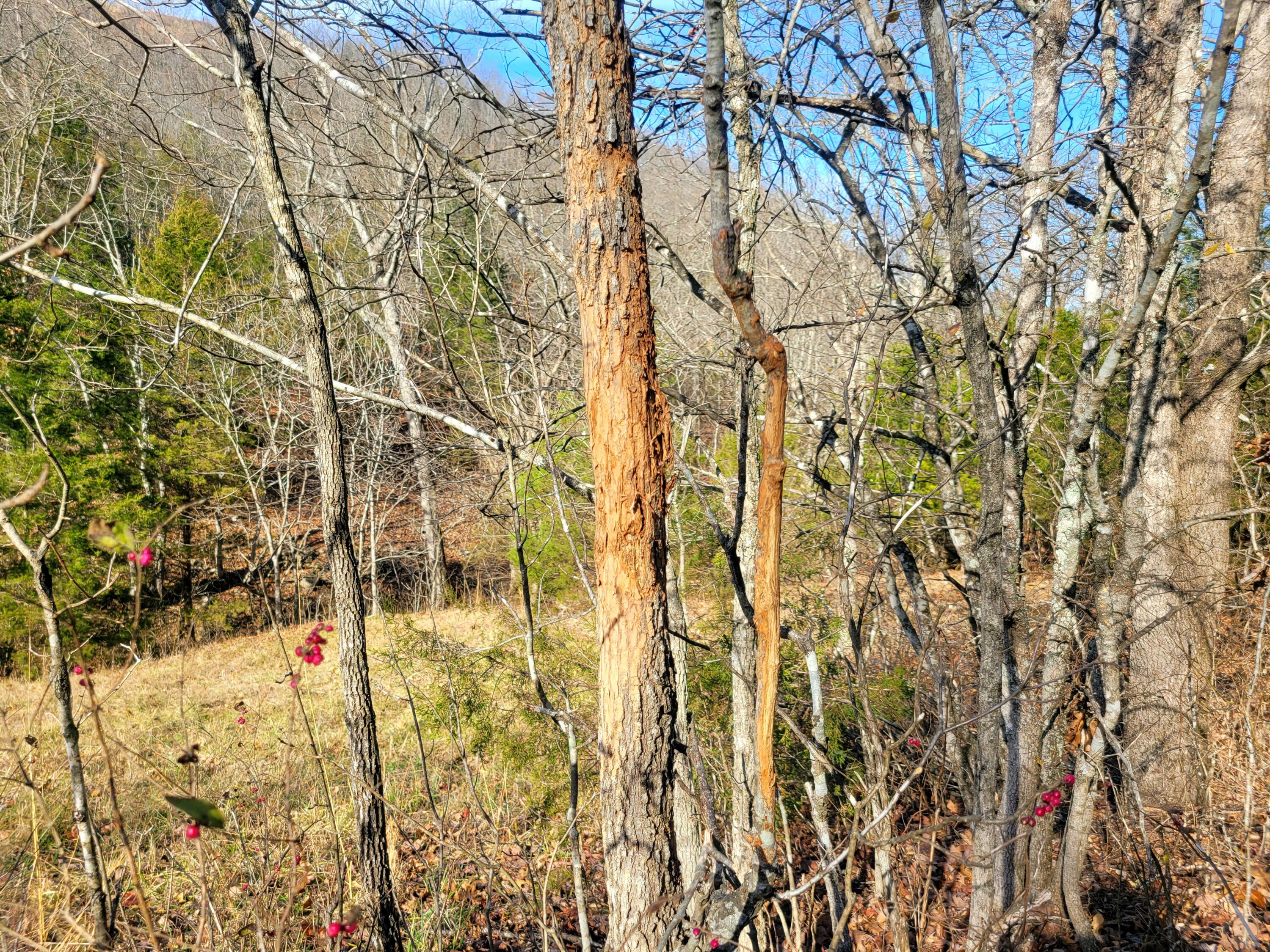 property viewer photo 24
