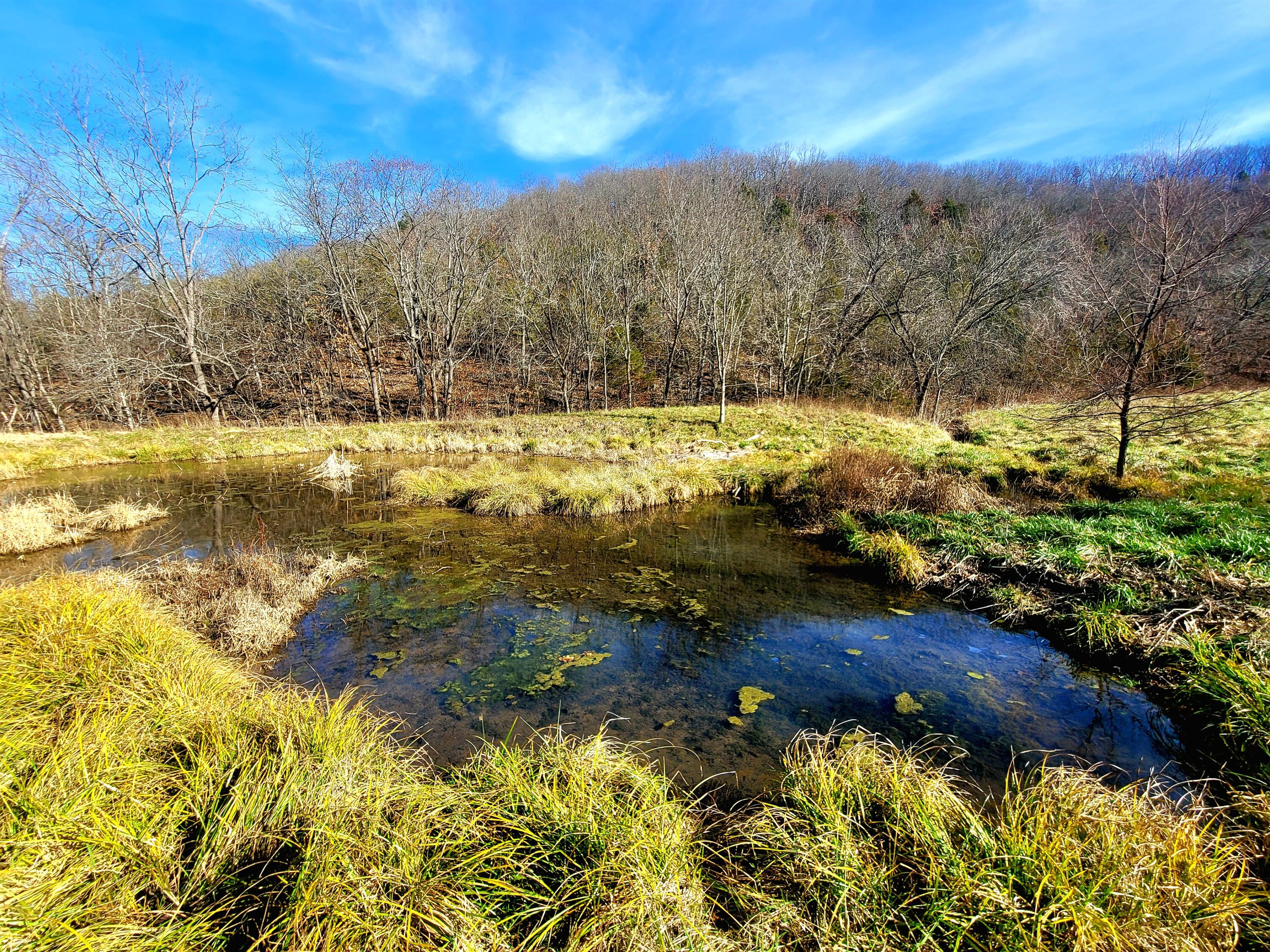 property viewer photo 26