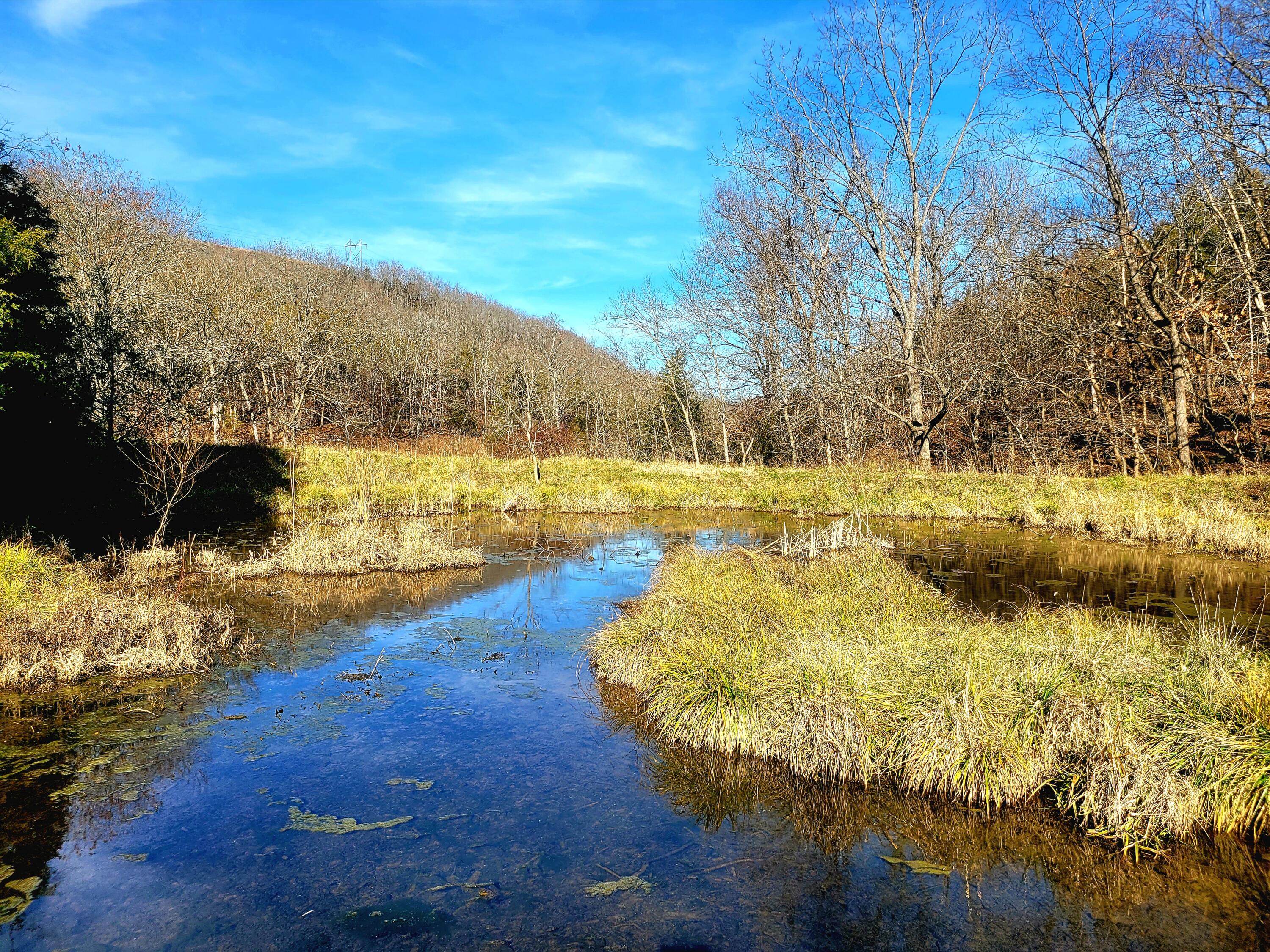property viewer photo 27