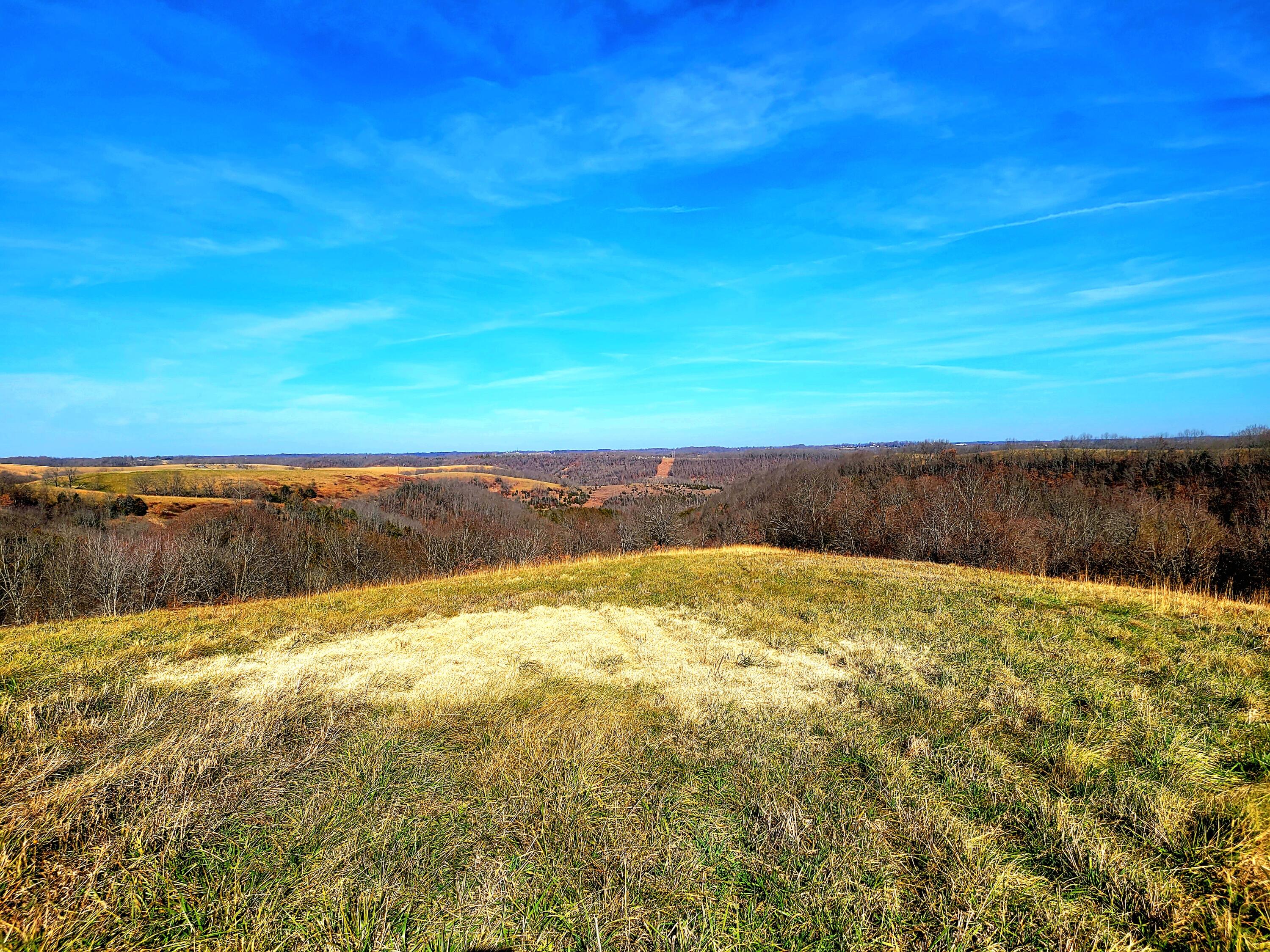 property viewer photo 29