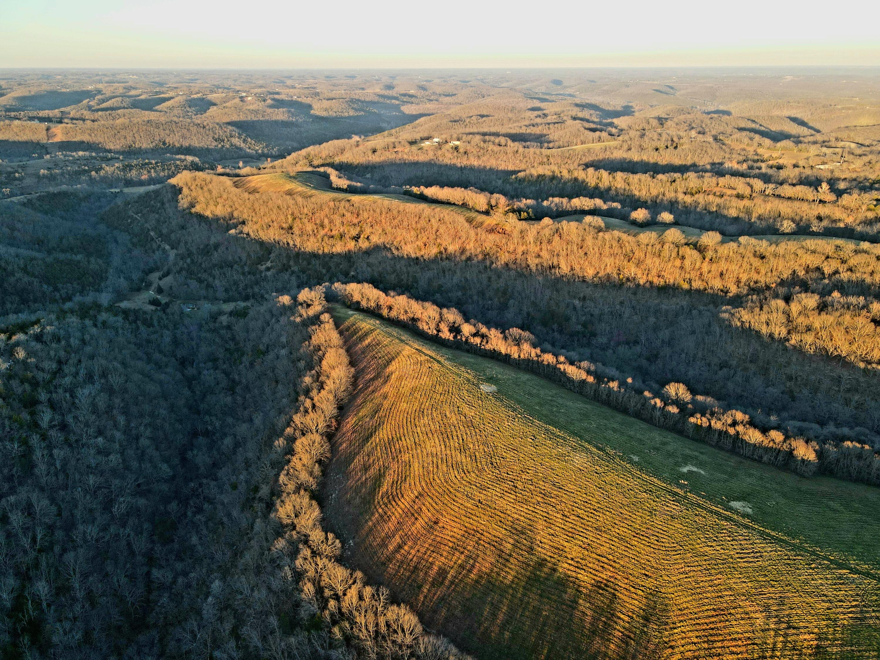 property viewer photo 32
