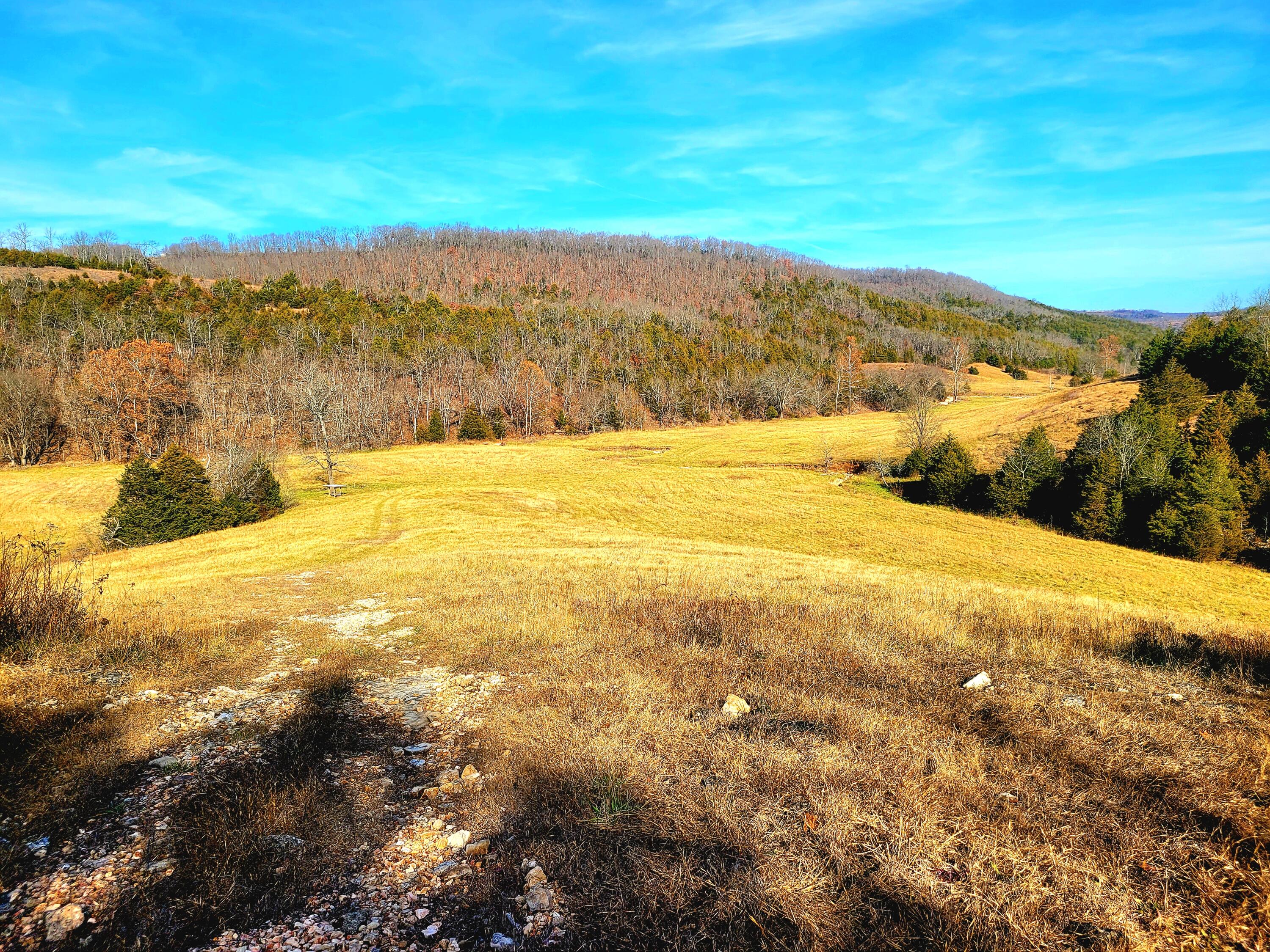 property viewer photo 6