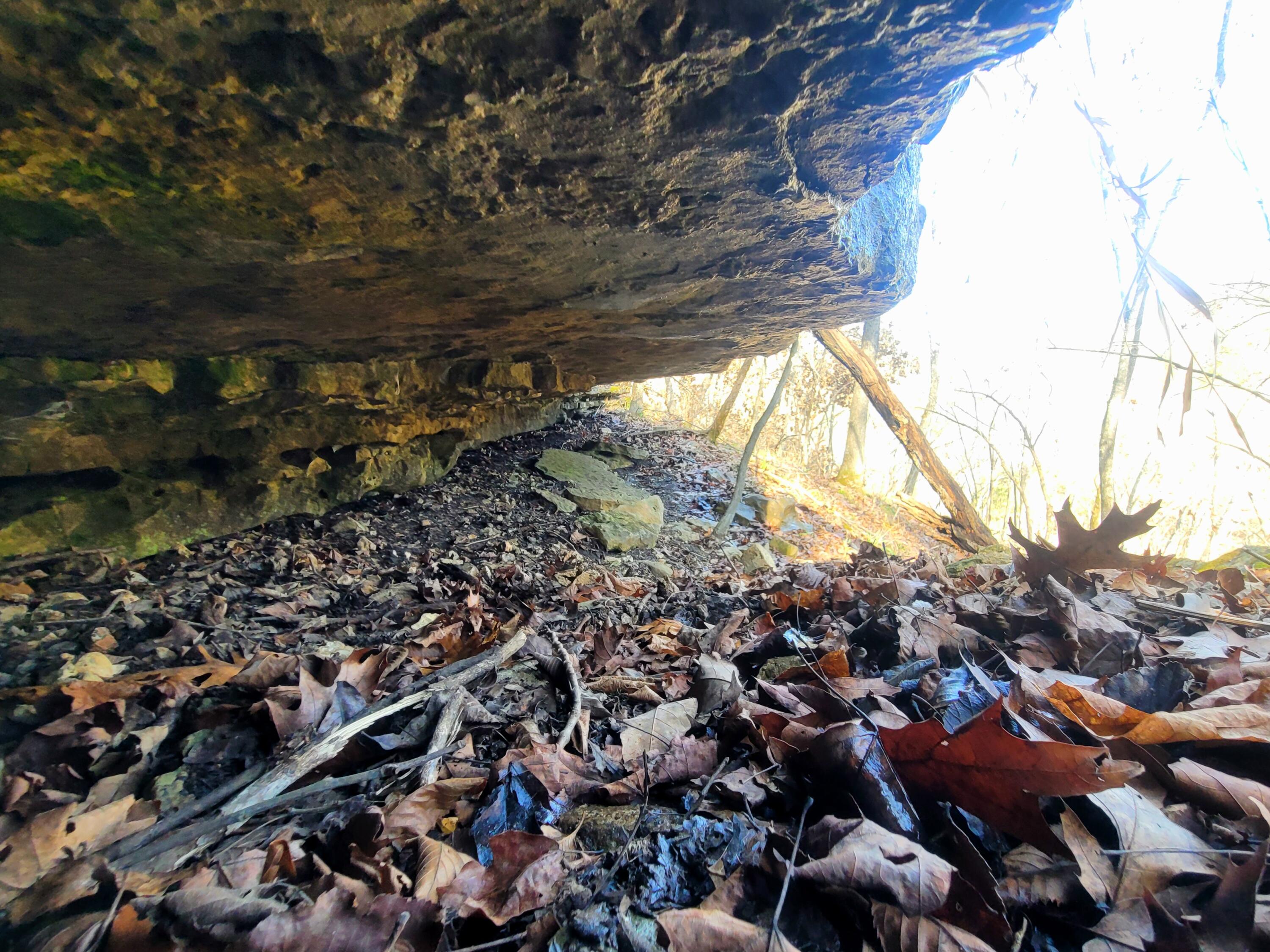 property viewer photo 7